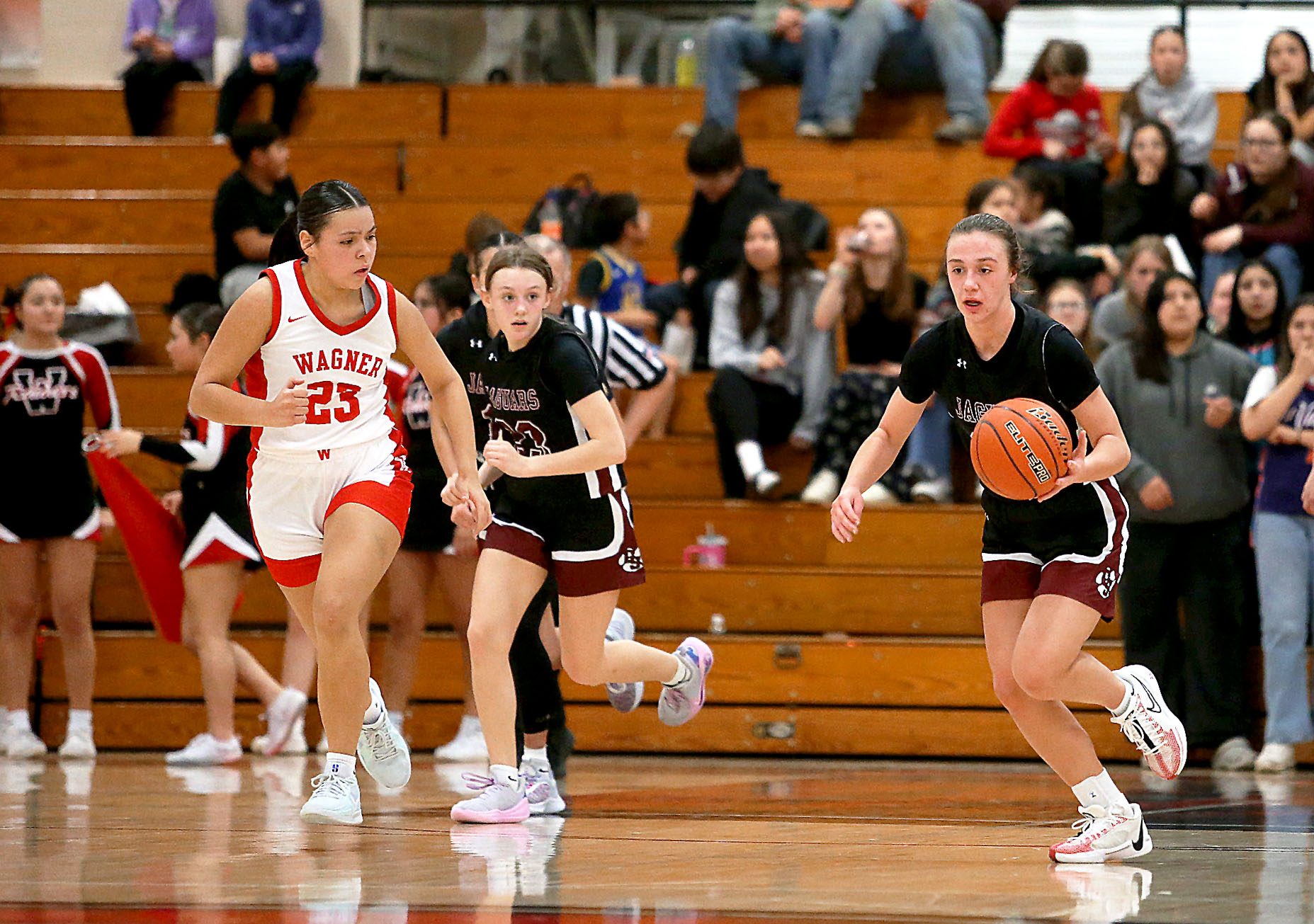 PHOTO GALLERY: HS Girls Basketball - Corsica/Stickney at Wagner 