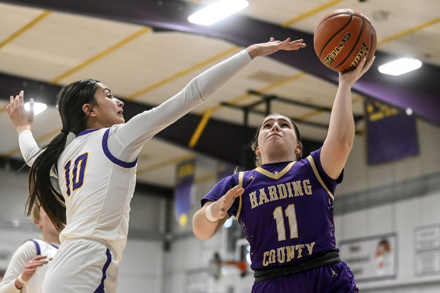 PHOTO GALLERY: Action from the Harding County Ranchers girls at New Underwood