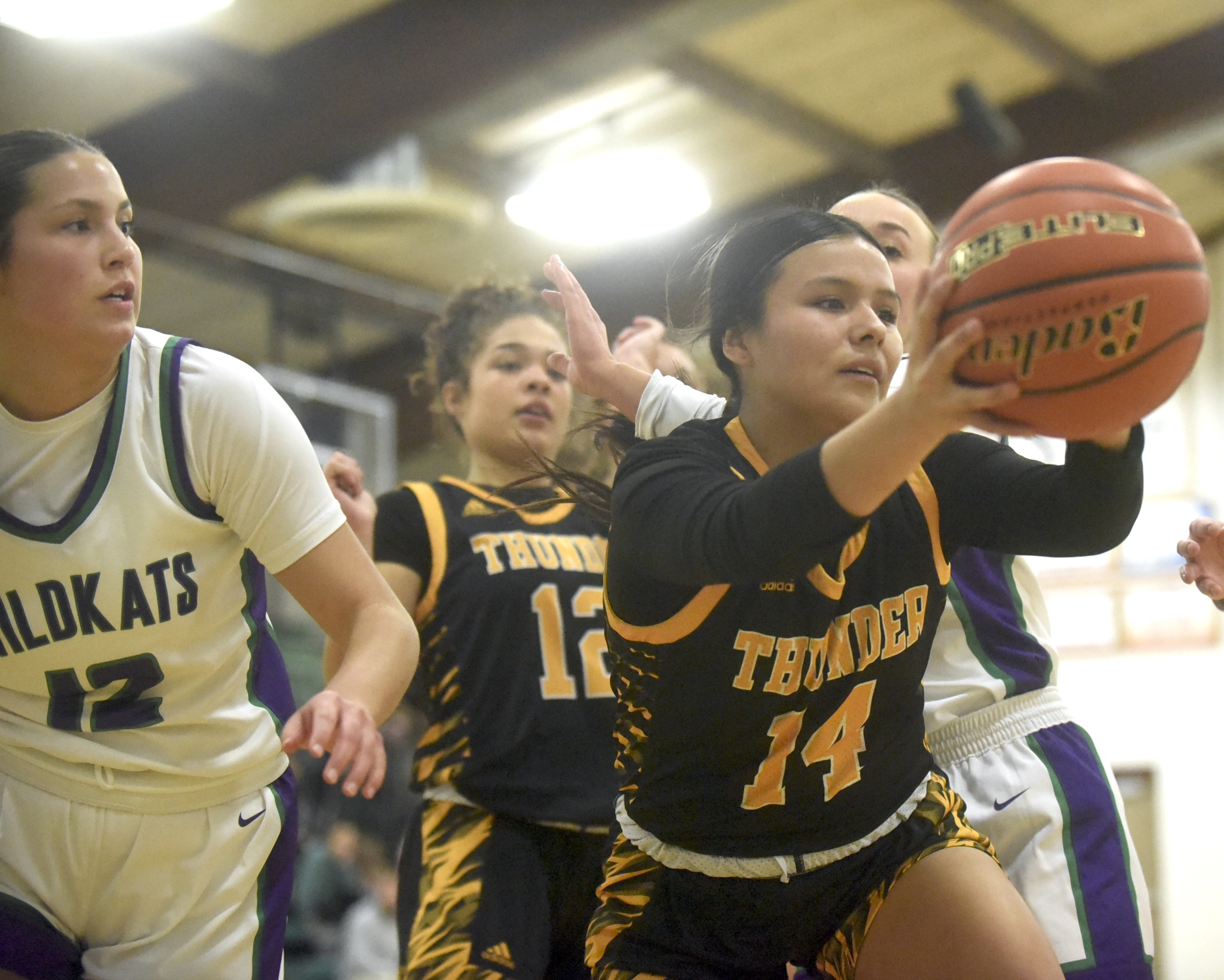 PHOTO GALLERY: HS Girls Basketball - Andes Central/Dakota Christian vs. Kimball/White Lake 