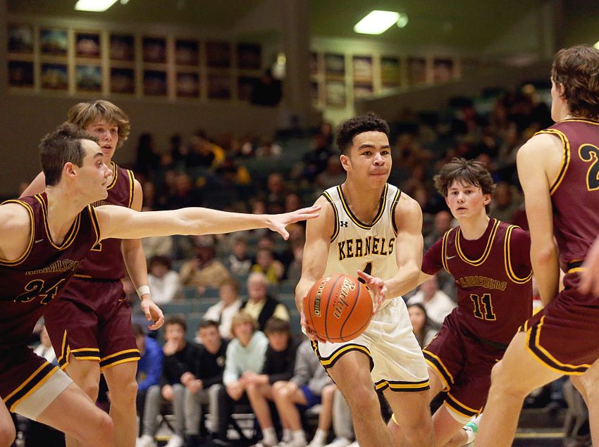 Mitchell leads all-ESD boys basketball team selections 