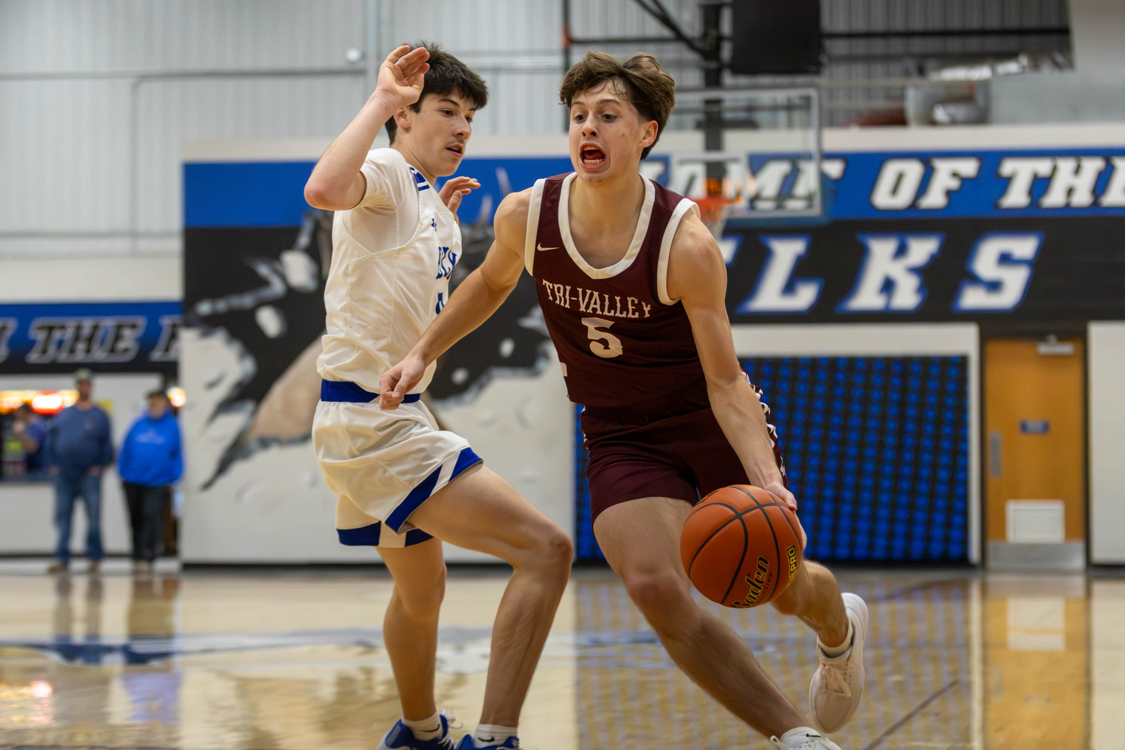 PHOTO GALLERY: Tri-Valley Mustangs at Elkton-Lake Benton Elks boys basketball