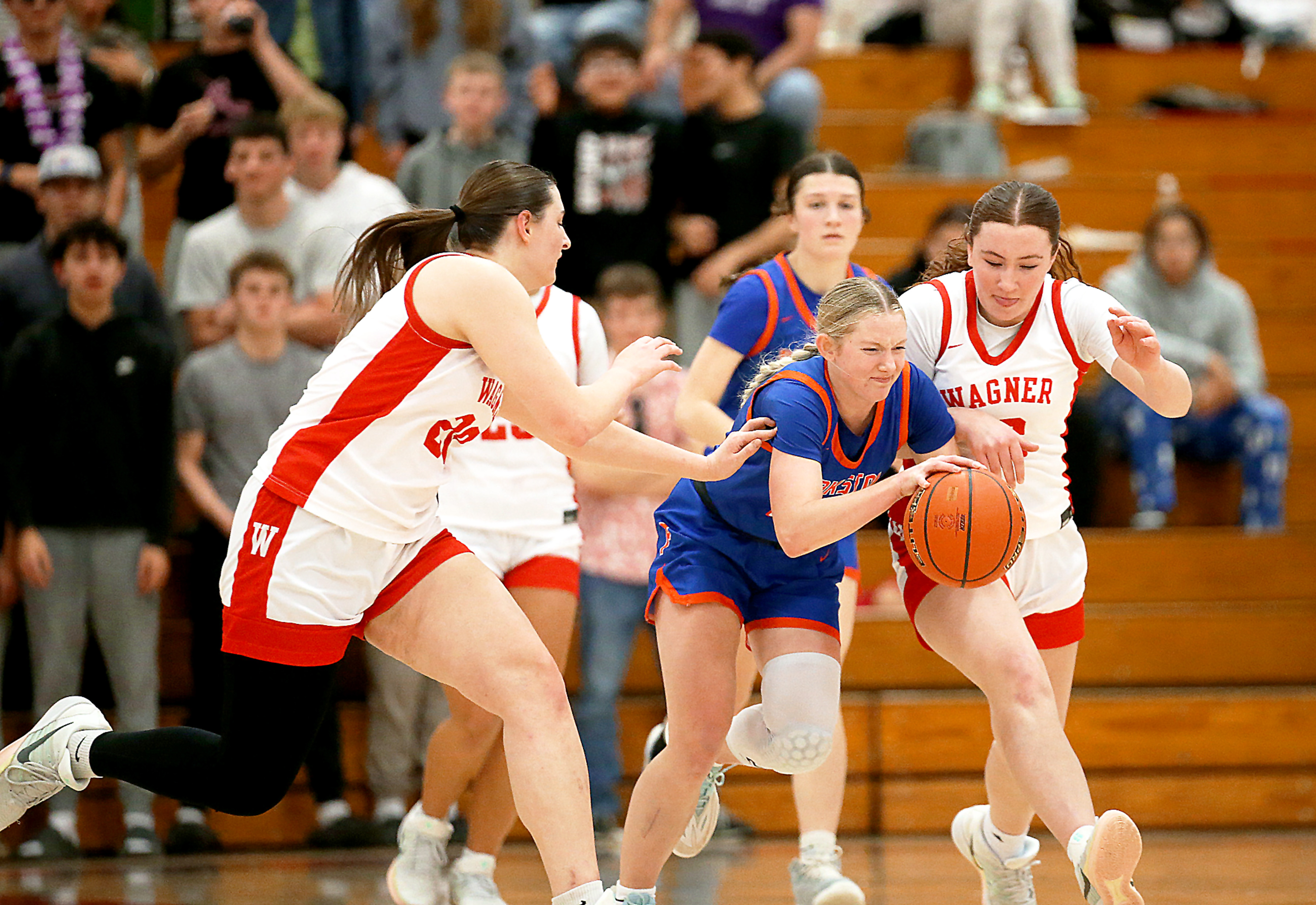PHOTO GALLERY: HS Girls Basketball - Parkston at Wagner 