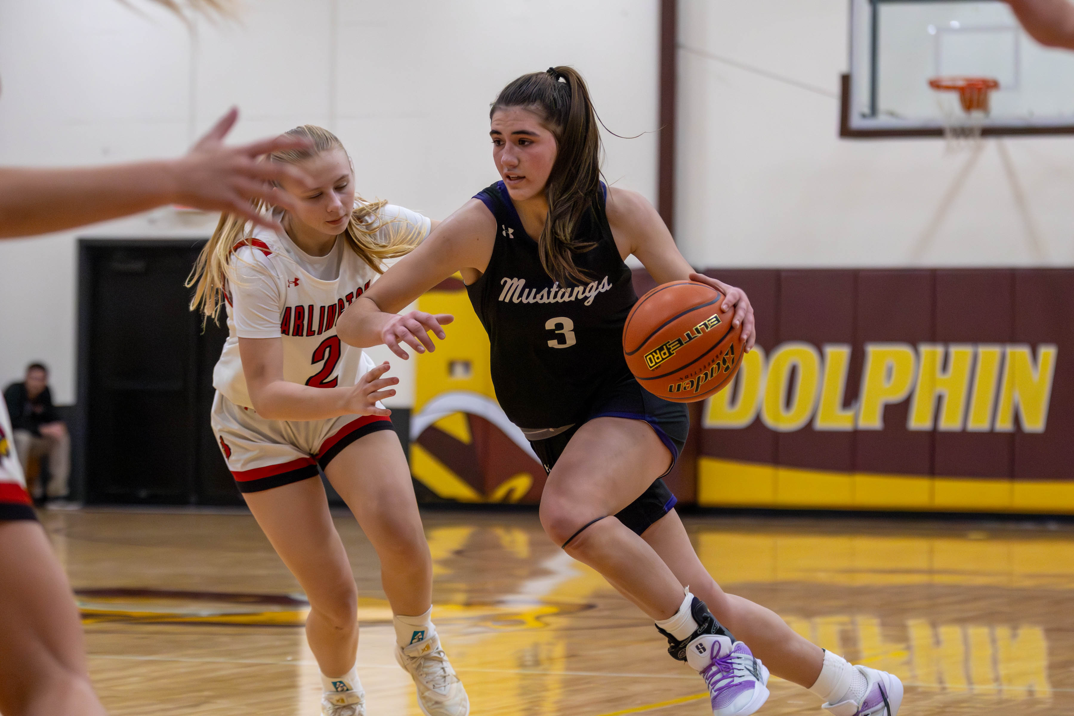 PHOTO GALLERY: Waubay-Summit Mustangs vs. Arlington Cardinals girls basketball at DVC Classic