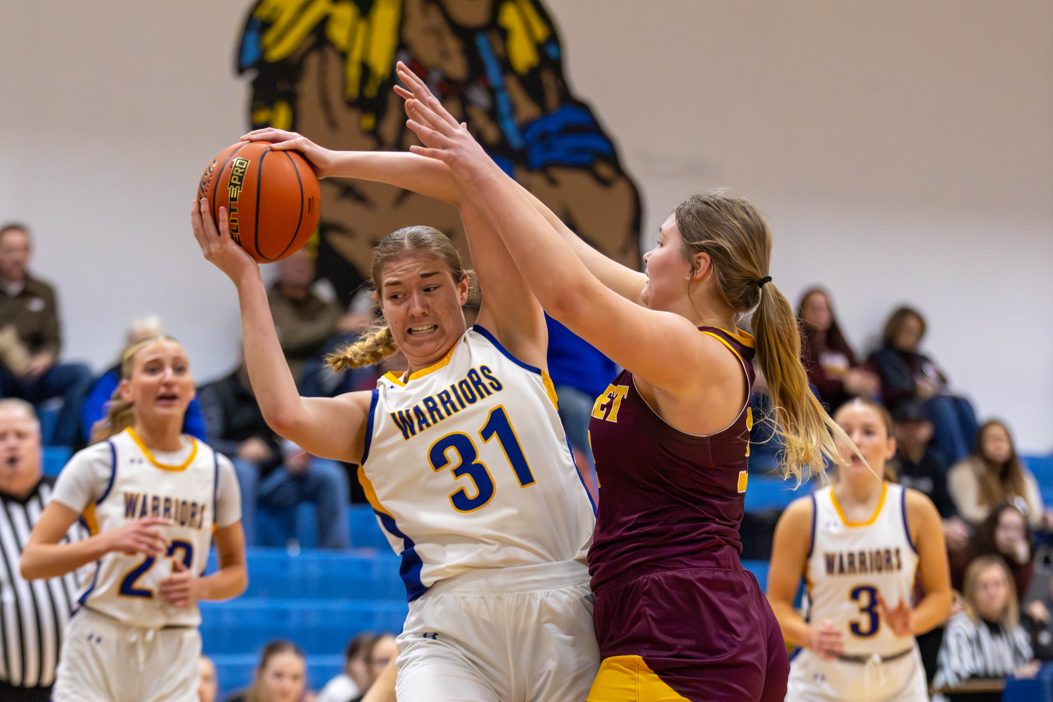 PHOTO GALLERY: De Smet Bulldogs at Castlewood Warriors girls basketball