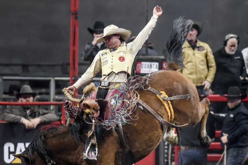 'That was amazing' - Following injury, Faith's Cole Elshere ready to get back in NFR mix