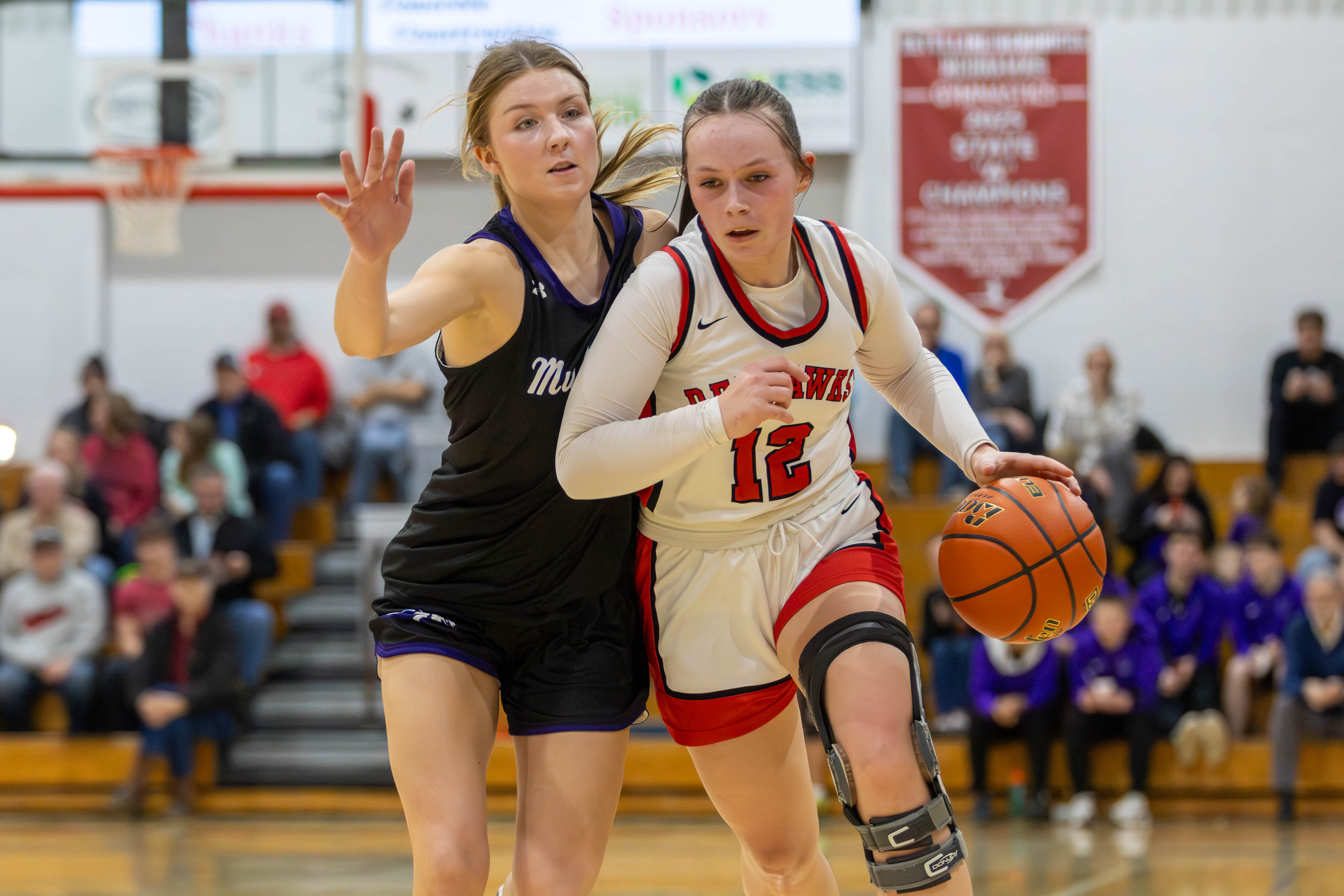 PHOTO GALLERY: Waubay-Summit Mustangs vs Estelline-Hendricks Redhawks girls basketball