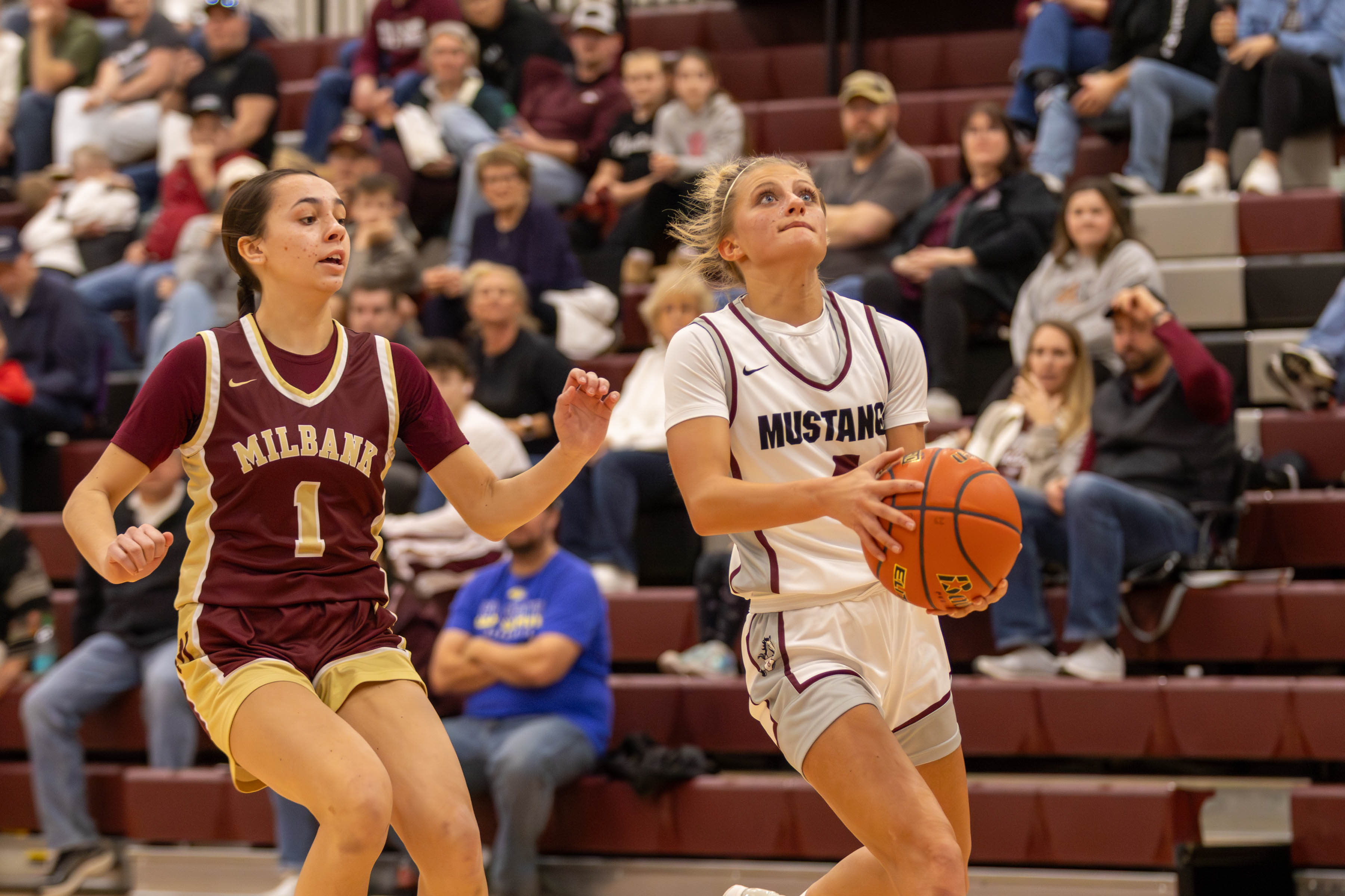 PHOTO GALLERY: Milbank Bulldogs vs Tri-Valley Mustangs girls basketball