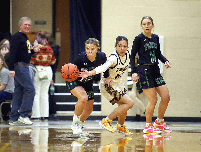 Feb. 15 Girls Basketball Roundup - Andes Central/Dakota Christian uses fourth-quarter surge to top Kimball/White Lake 