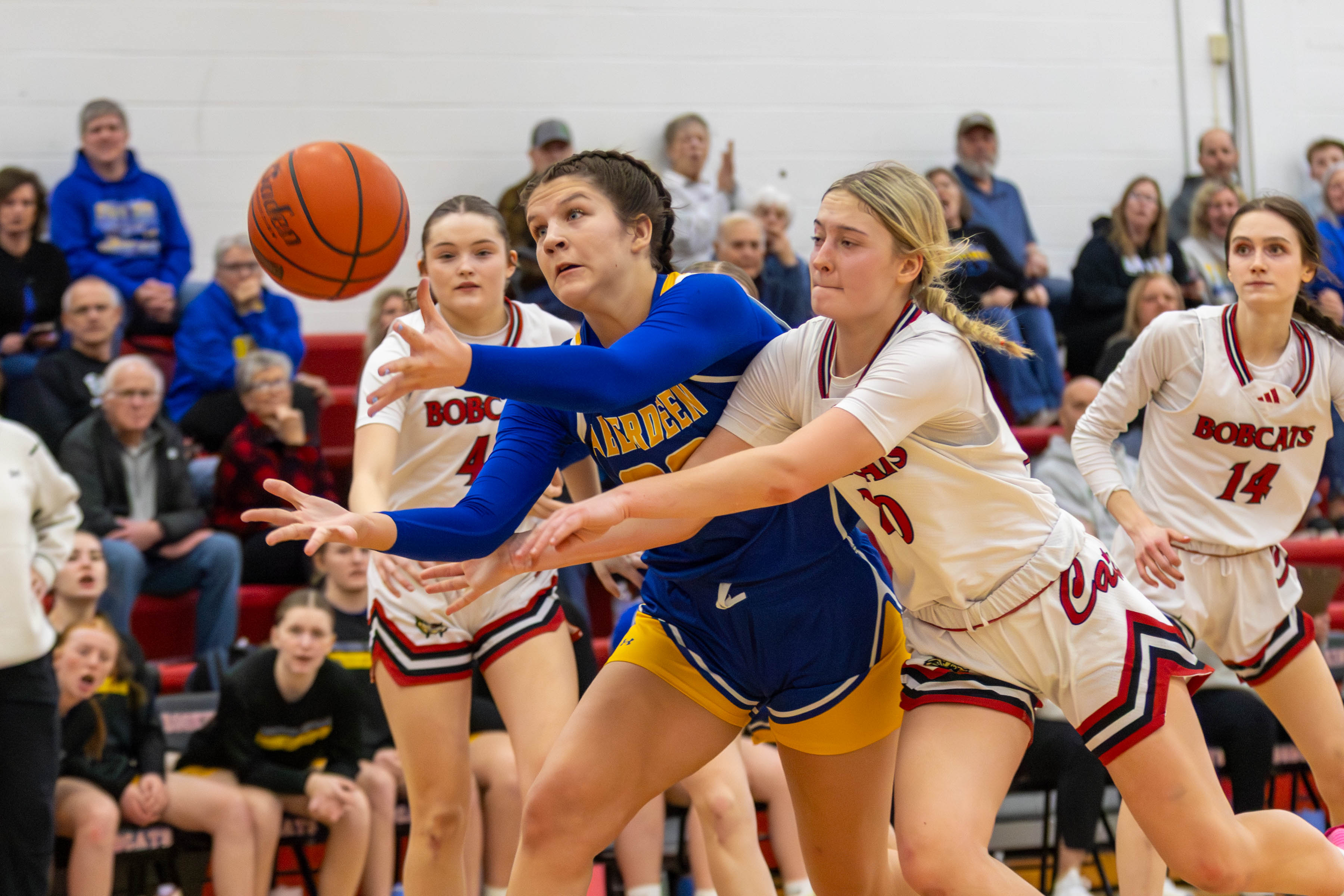 PHOTO GALLERY: Aberdeen Central Golden Eagles vs Brookings Bobcats girls basketball