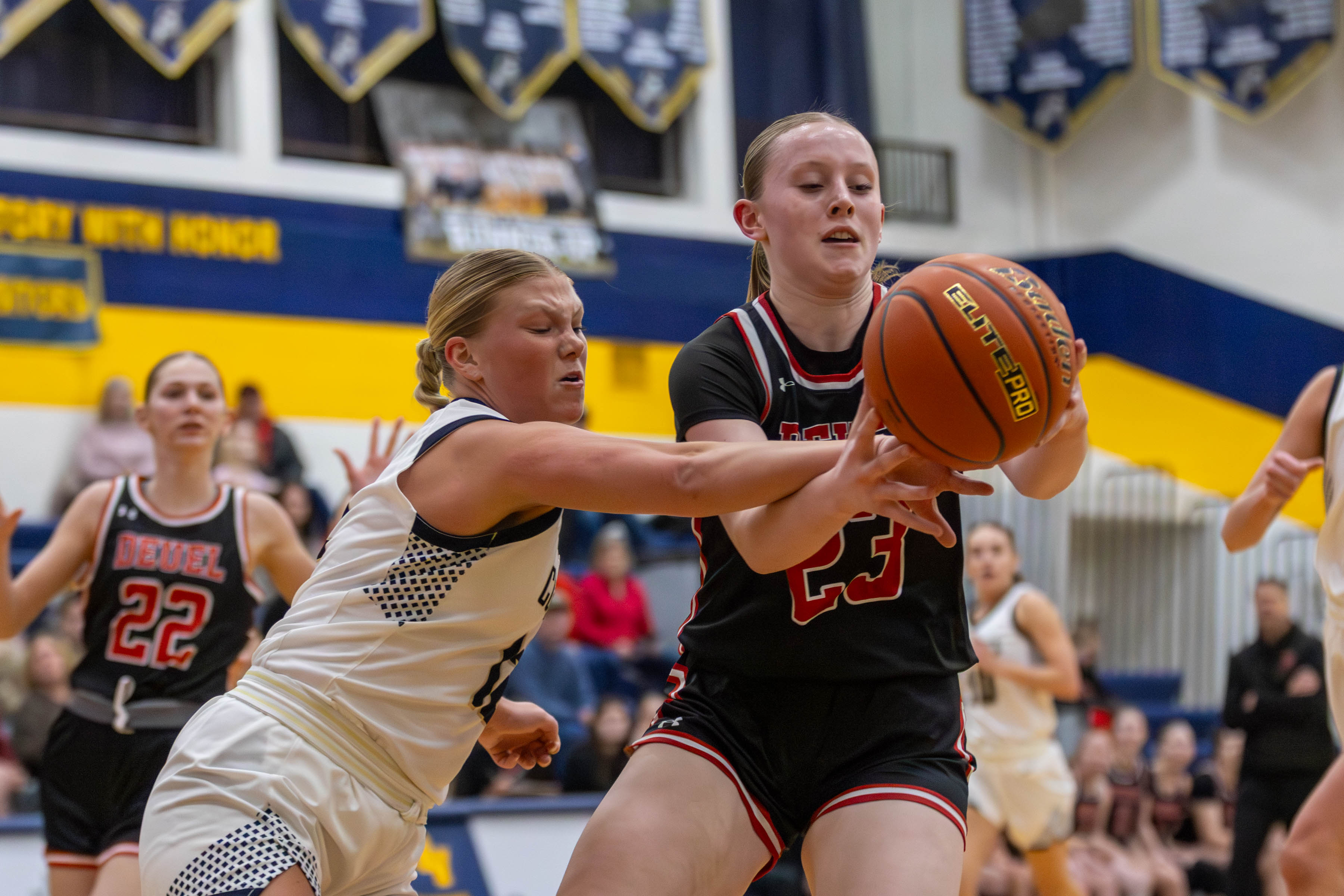 PHOTO GALLERY: Deuel Cardinals vs Sioux Valley Cossacks Region 2A girls basketball