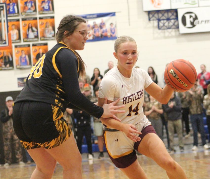 Ethan outlasts Andes Central/Dakota Christian, secures trip to state tourney  