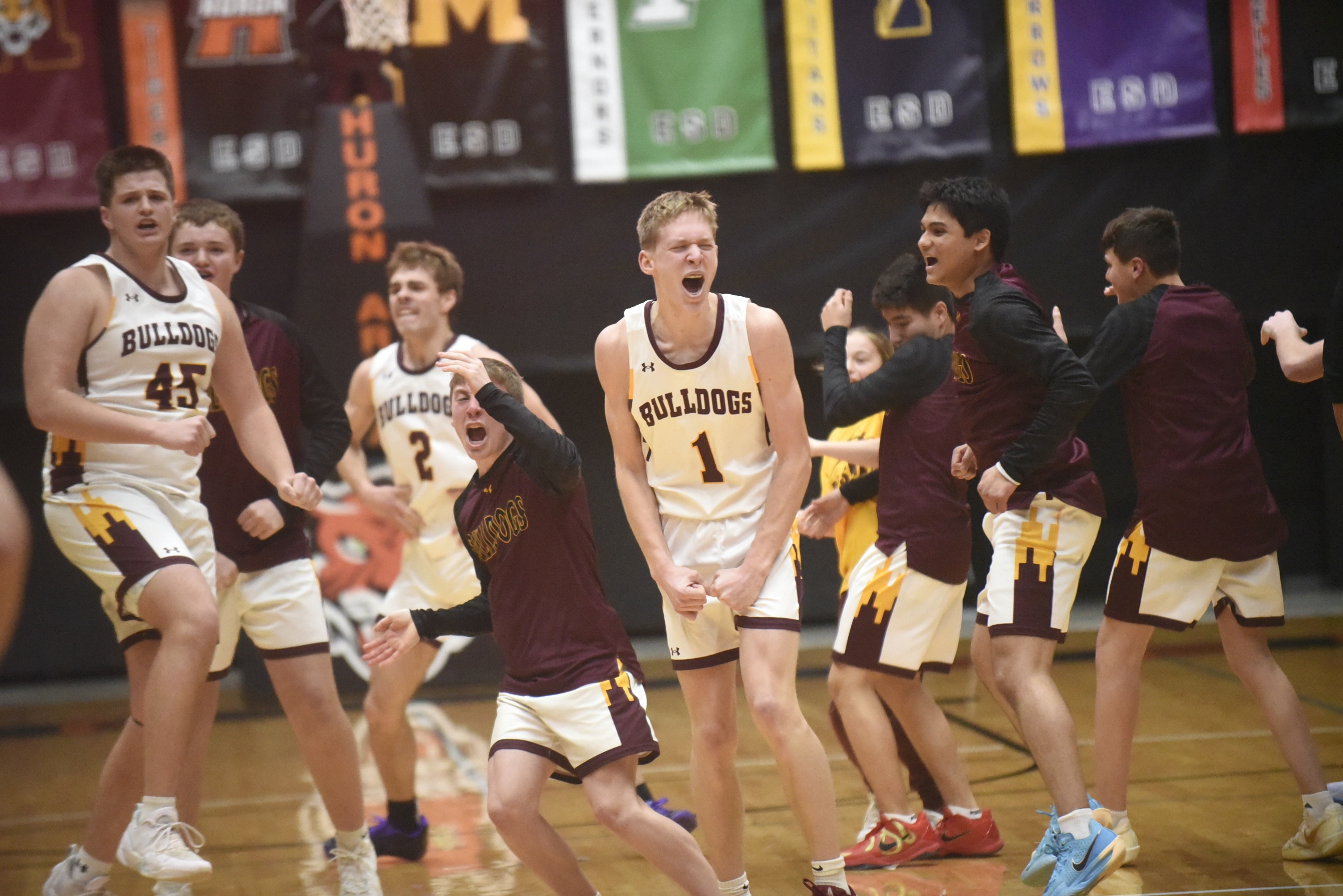 PHOTO GALLERY: Region 2B Boys Basketball - De Smet vs. Deubrook Area