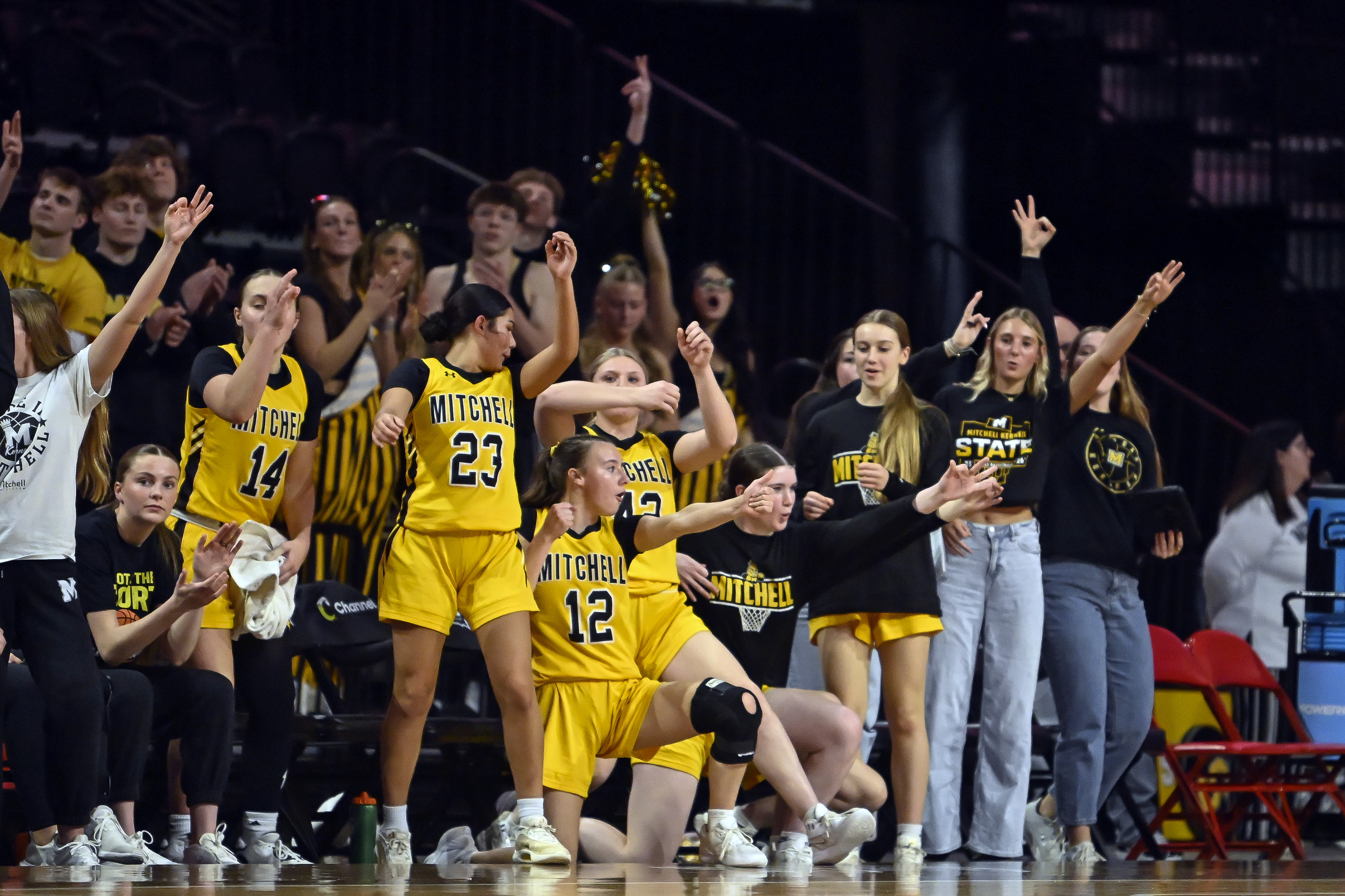 PHOTO GALLERY: State AA girls 5th place - Mitchell vs RC Stevens