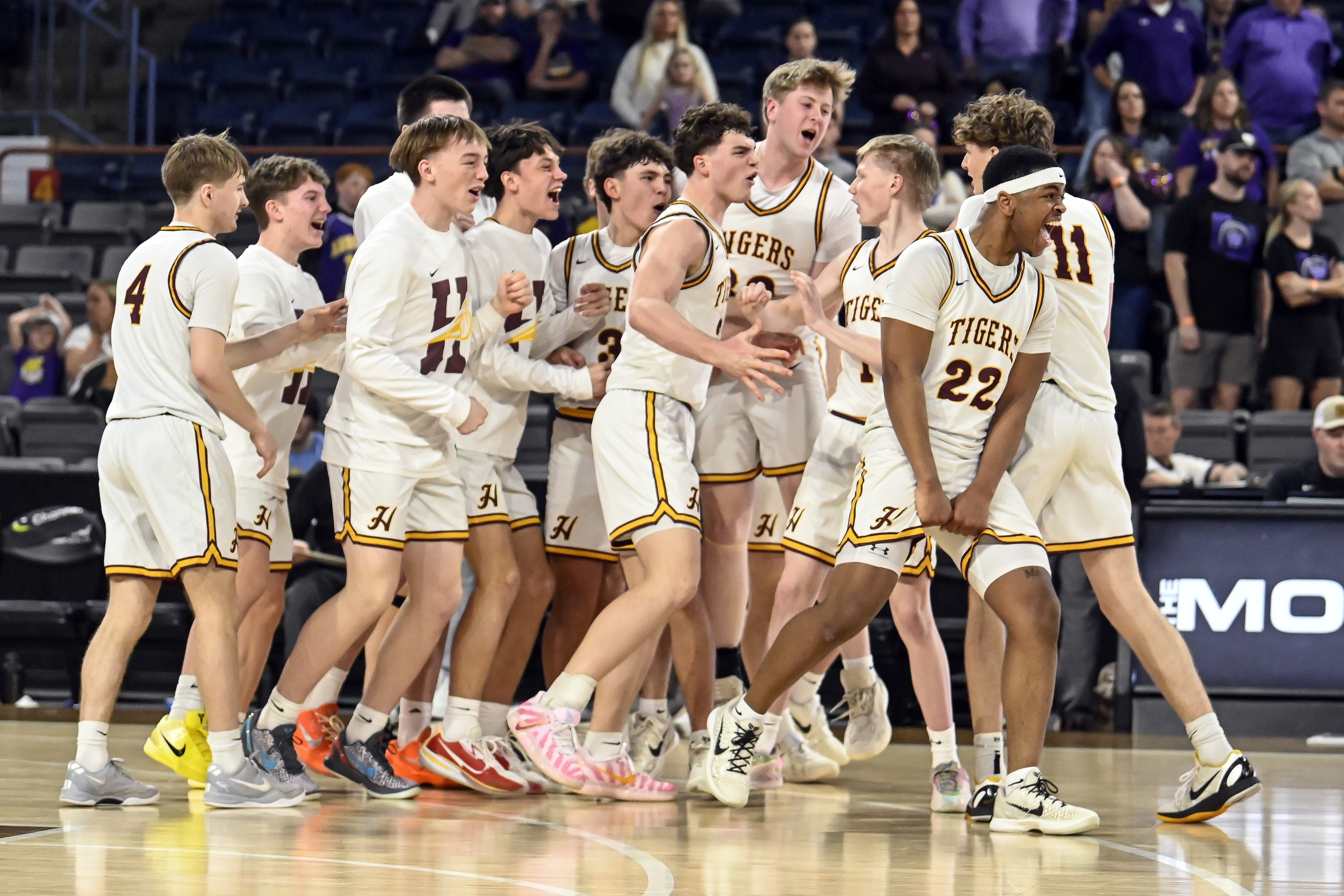 PHOTO GALLERY: State AA boys - Harrisburg vs Watertown