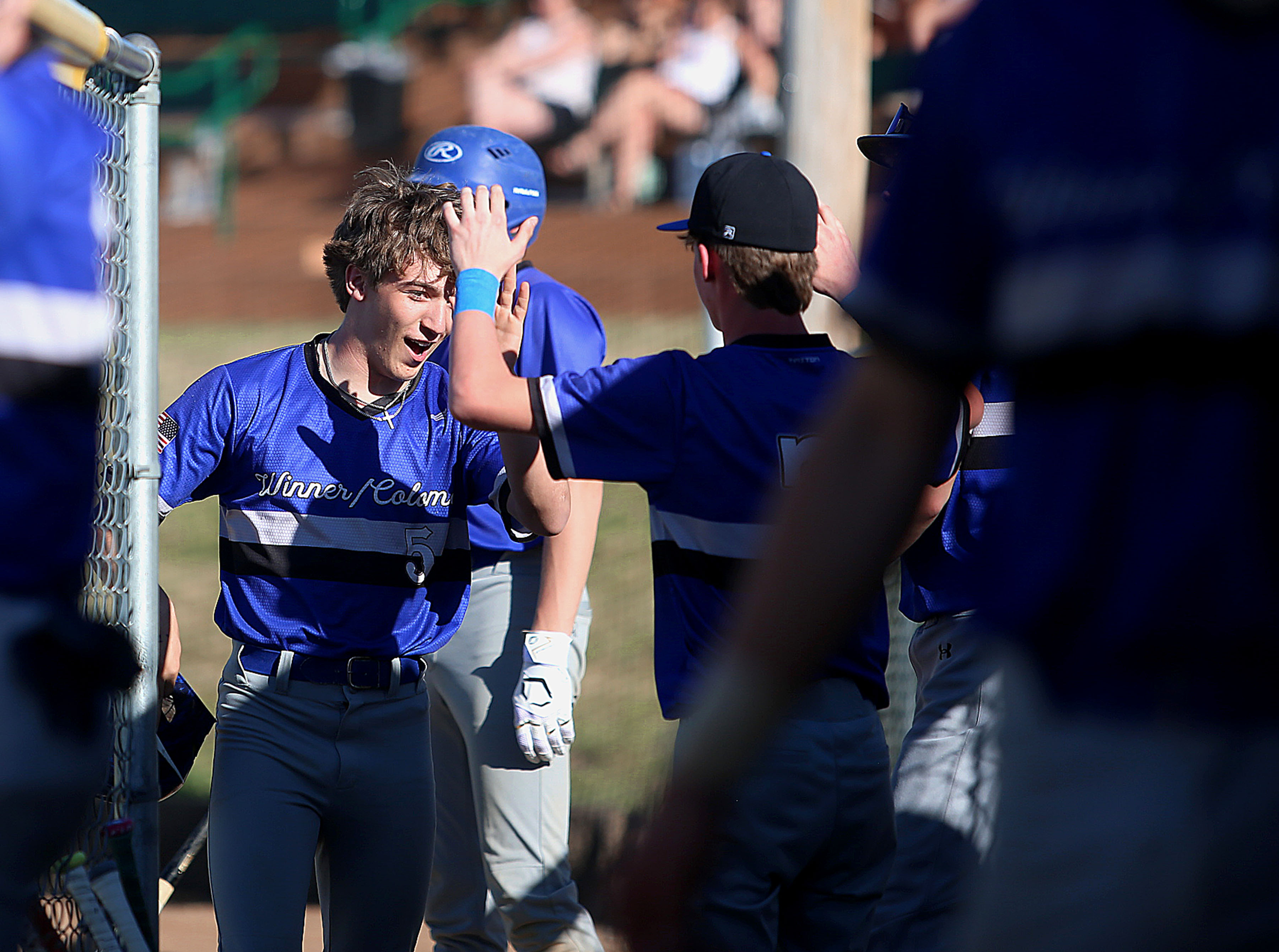 PHOTO GALLERY: HS Baseball - Gregory at Winner 