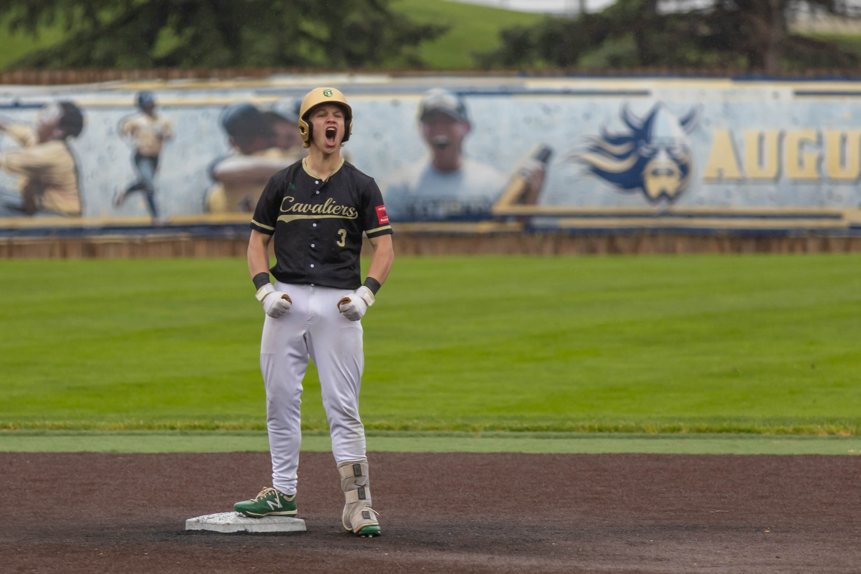 PHOTO GALLERY: State HS Baseball - Pierre vs Sioux Falls Jefferson