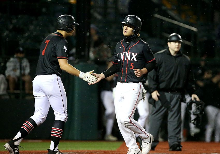 State champion Brandon Valley headlines Class A all-state baseball selections