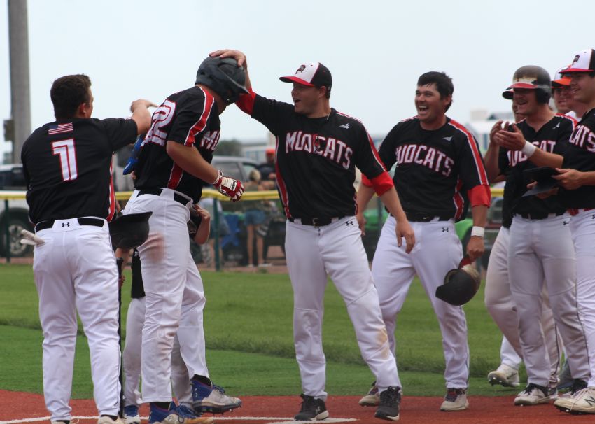 June 2 Amateur Baseball Roundup - Jake Goble's walk-off homer lifts Parkston Mudcats over Mount Vernon Mustangs