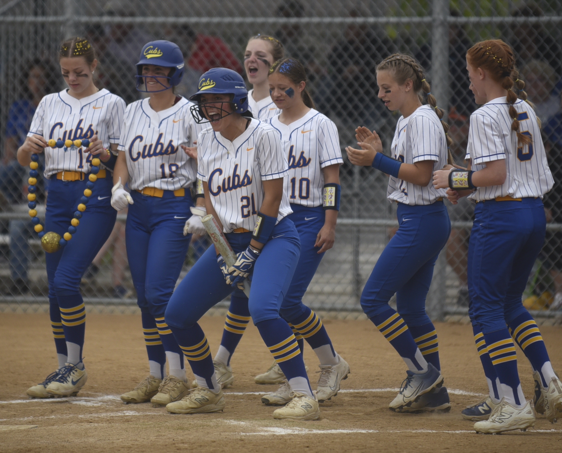 PHOTO GALLERY: State B Softball - Florence/Henry vs Alcester-Hudson