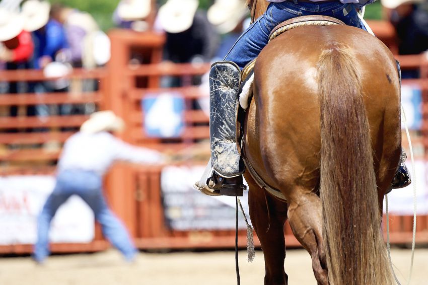 Cowboys, cowgirls make final qualifications for state finals at East Region rodeo 
