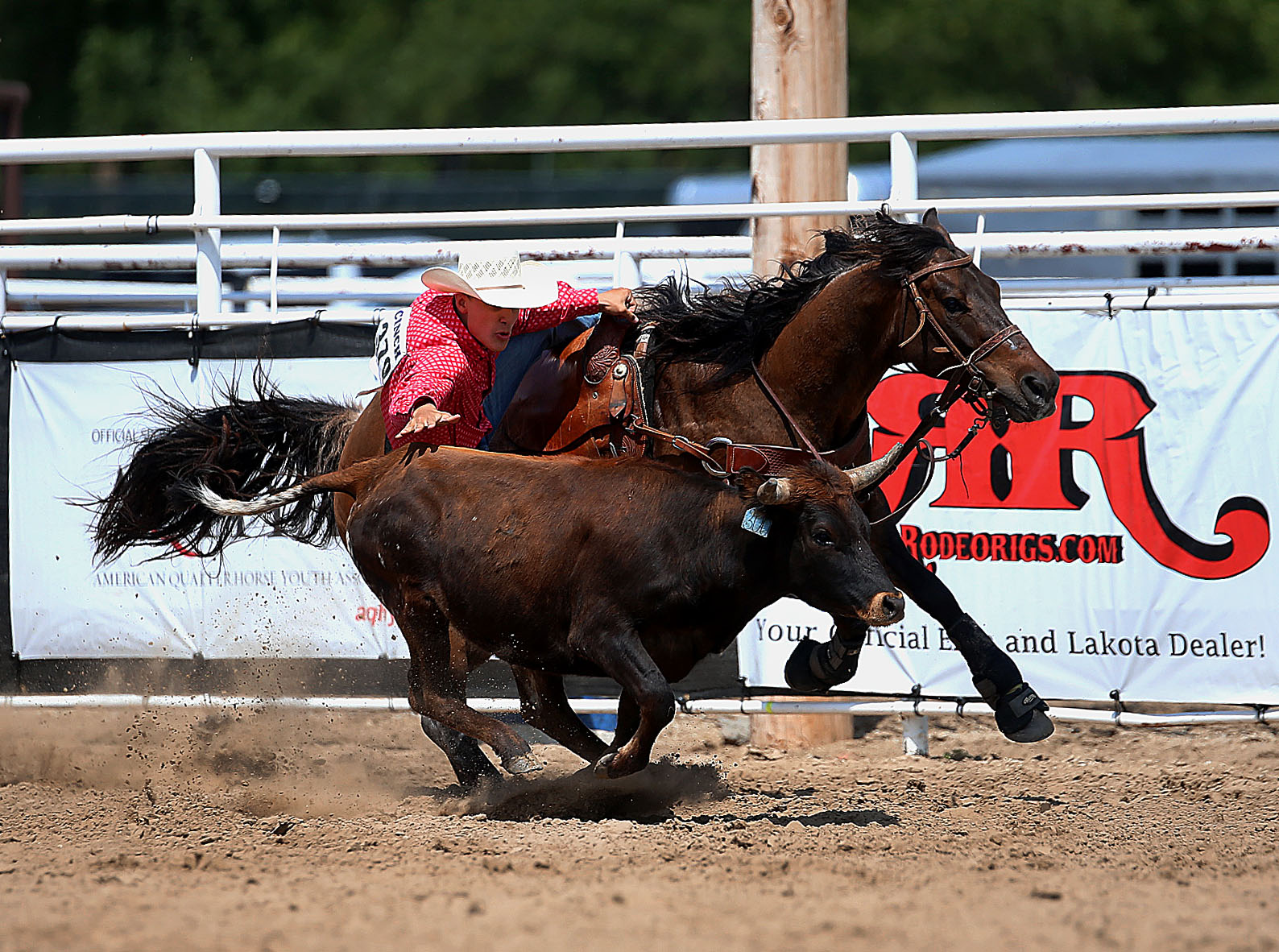 PHOTO GALLERY: HS Rodeo - Winner Regional 