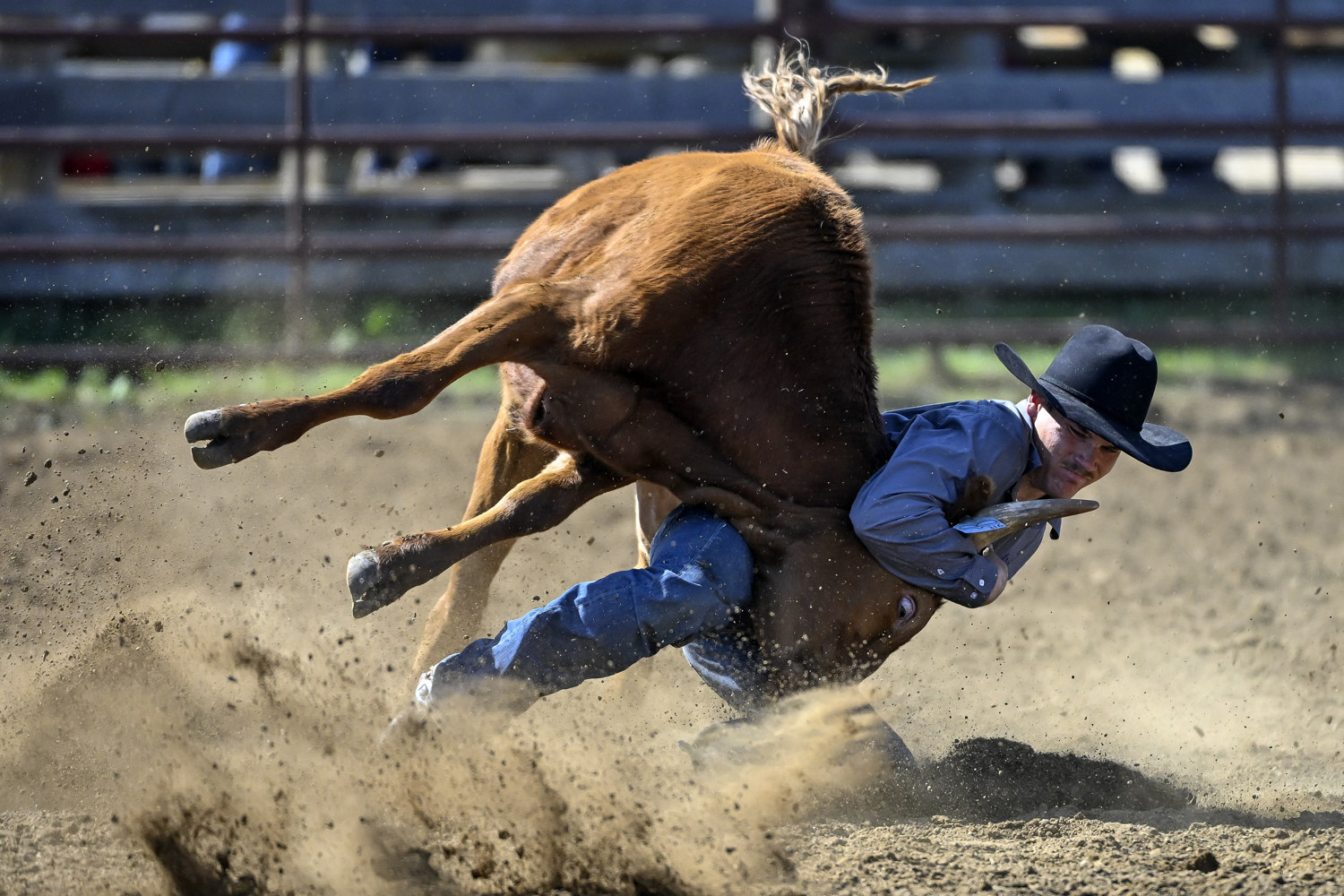 PHOTO GALLERY: Northwest SDHSRA Regional Rodeo in Dupree