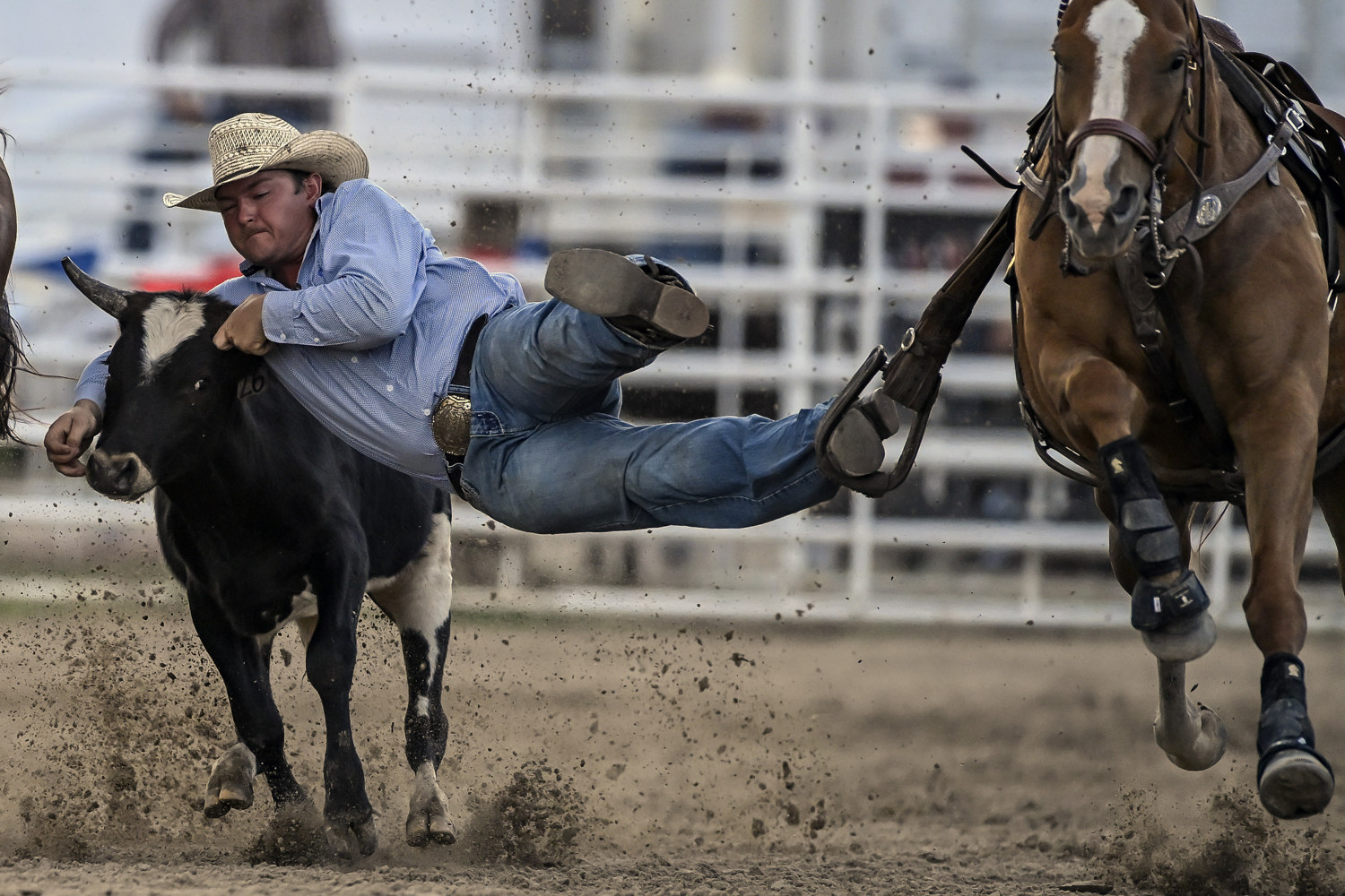 PHOTO GALLERY: Kadoka Buffalo Stampede Rodeo