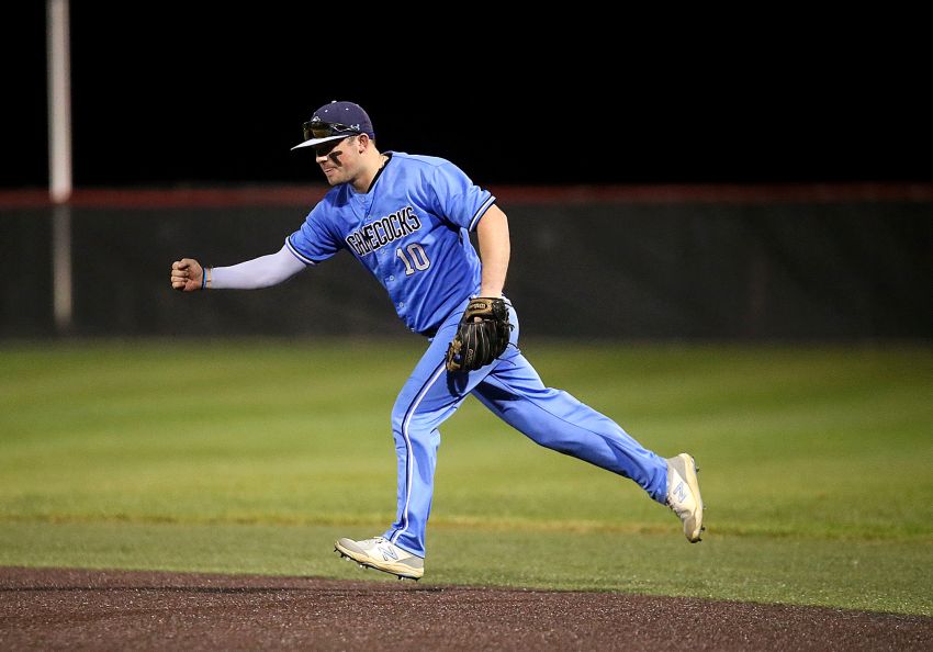Hartford/Humboldt blanks Castlewood, Gamecocks earn spot in state championship