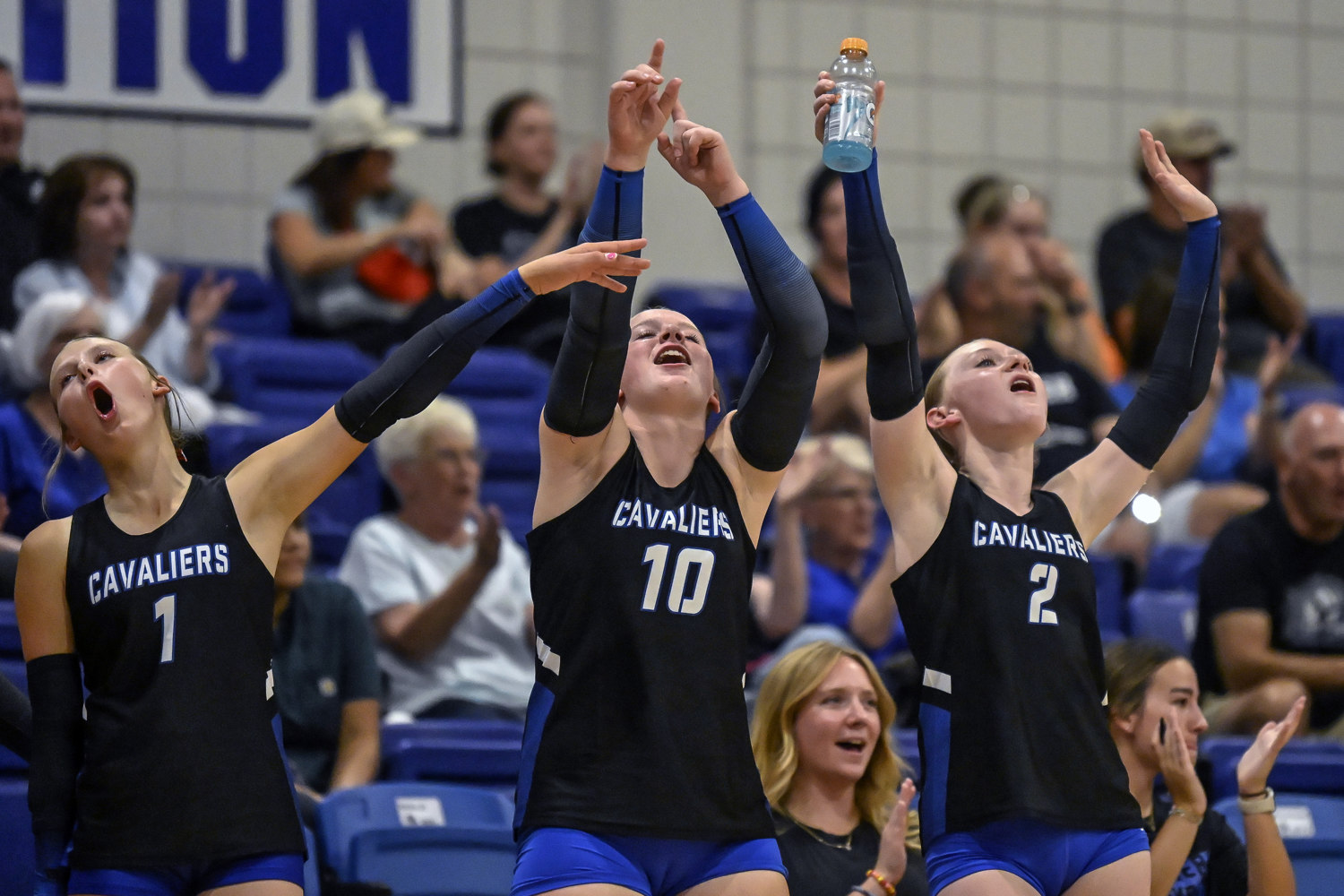 PHOTO GALLERY: Douglas volleyball at St. Thomas More