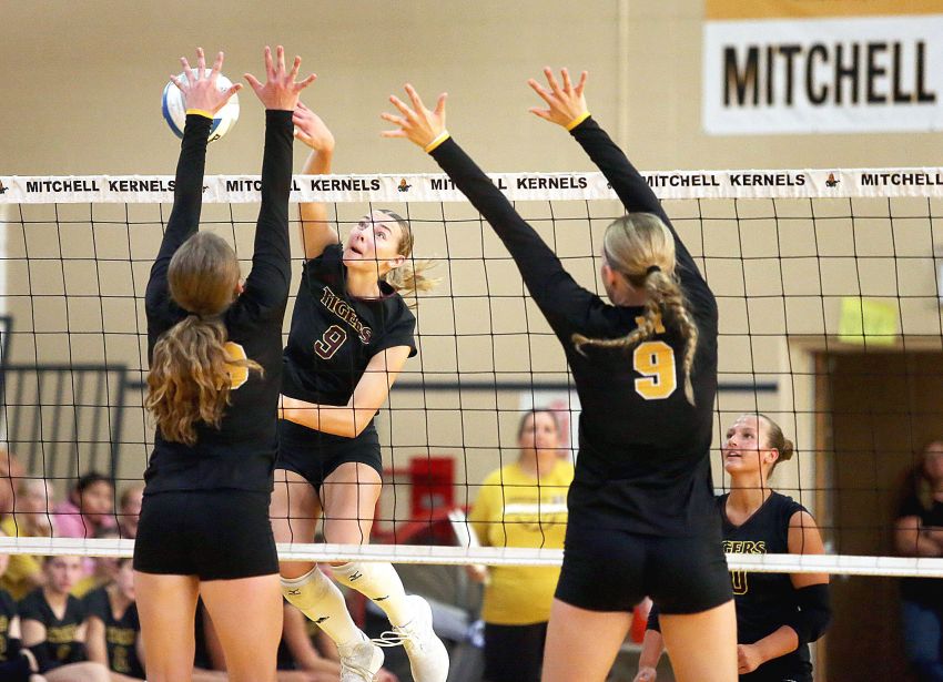 Class AA Volleyball Capsules - Two-time defending champ Harrisburg rides 75-match winning streak into state tourney 