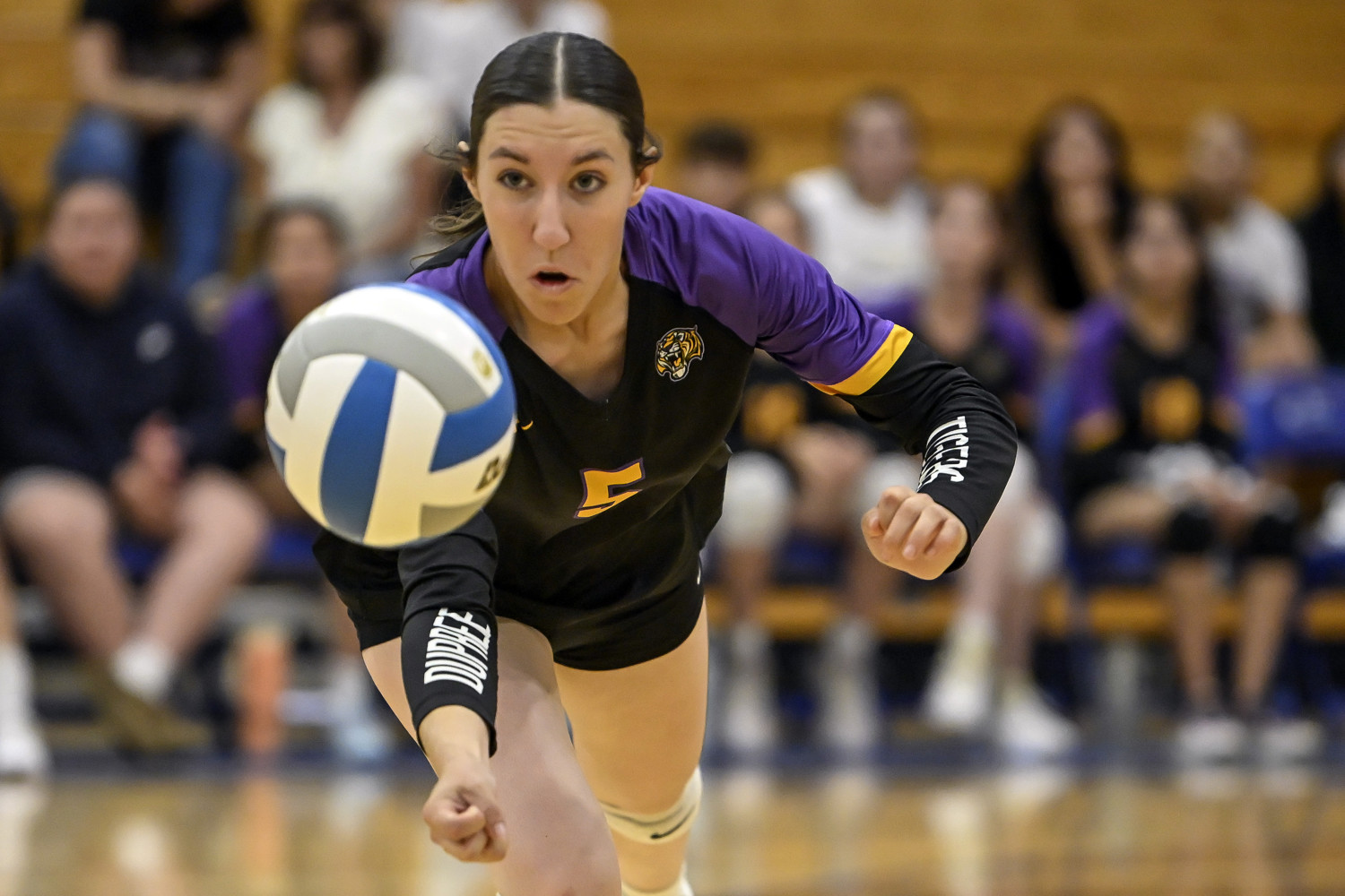 PHOTO GALLERY: Dupree volleyball at Wall