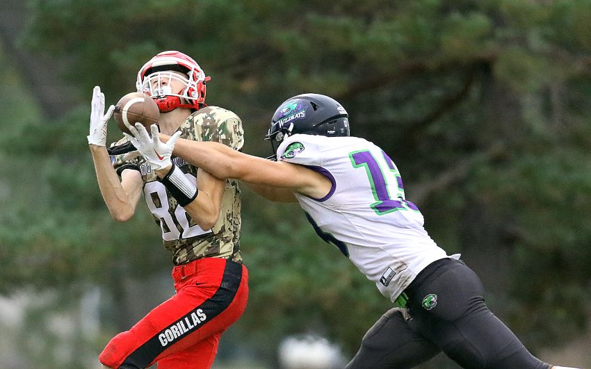 Sept. 22 Football Roundup - Gregory holds off Kimball/White Lake, improves to 3-2