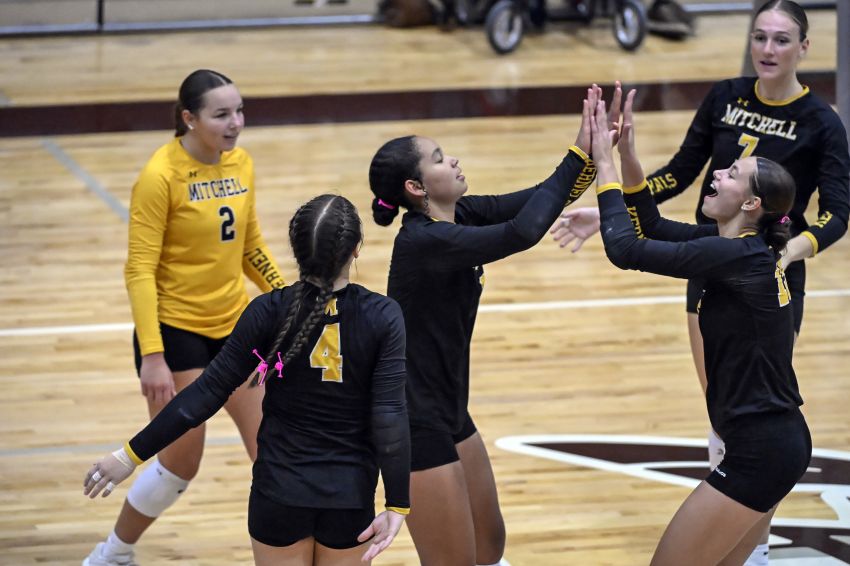 Class AA state volleyball pairings set for Nov. 20