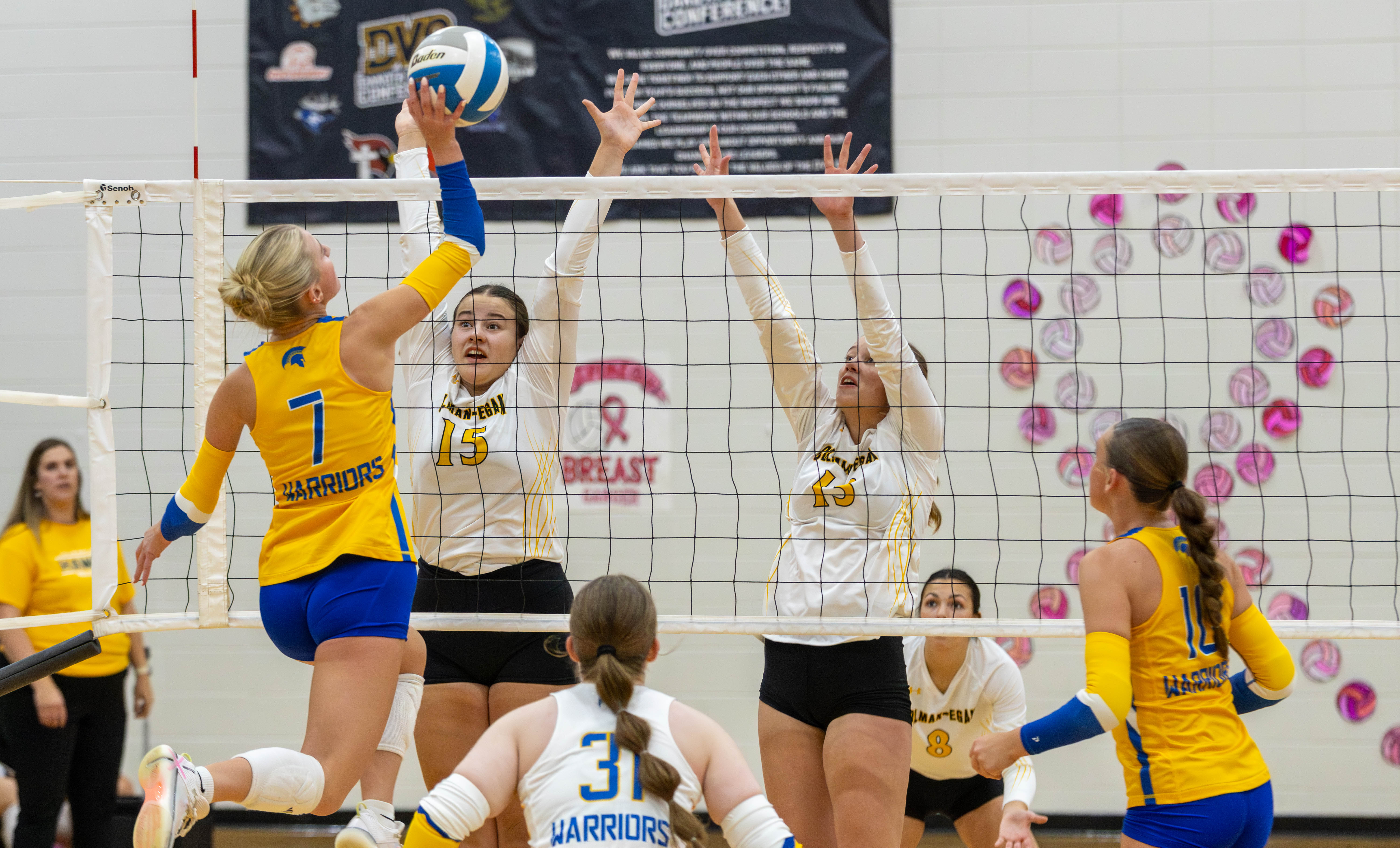 PHOTO GALLERY: HS Volleyball - Castlewood vs. Colman-Egan at DVC tournament