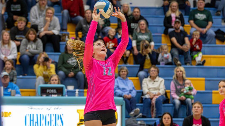 Hamlin, Clark-Willow Lake headline all-Lake Central Conference volleyball selections