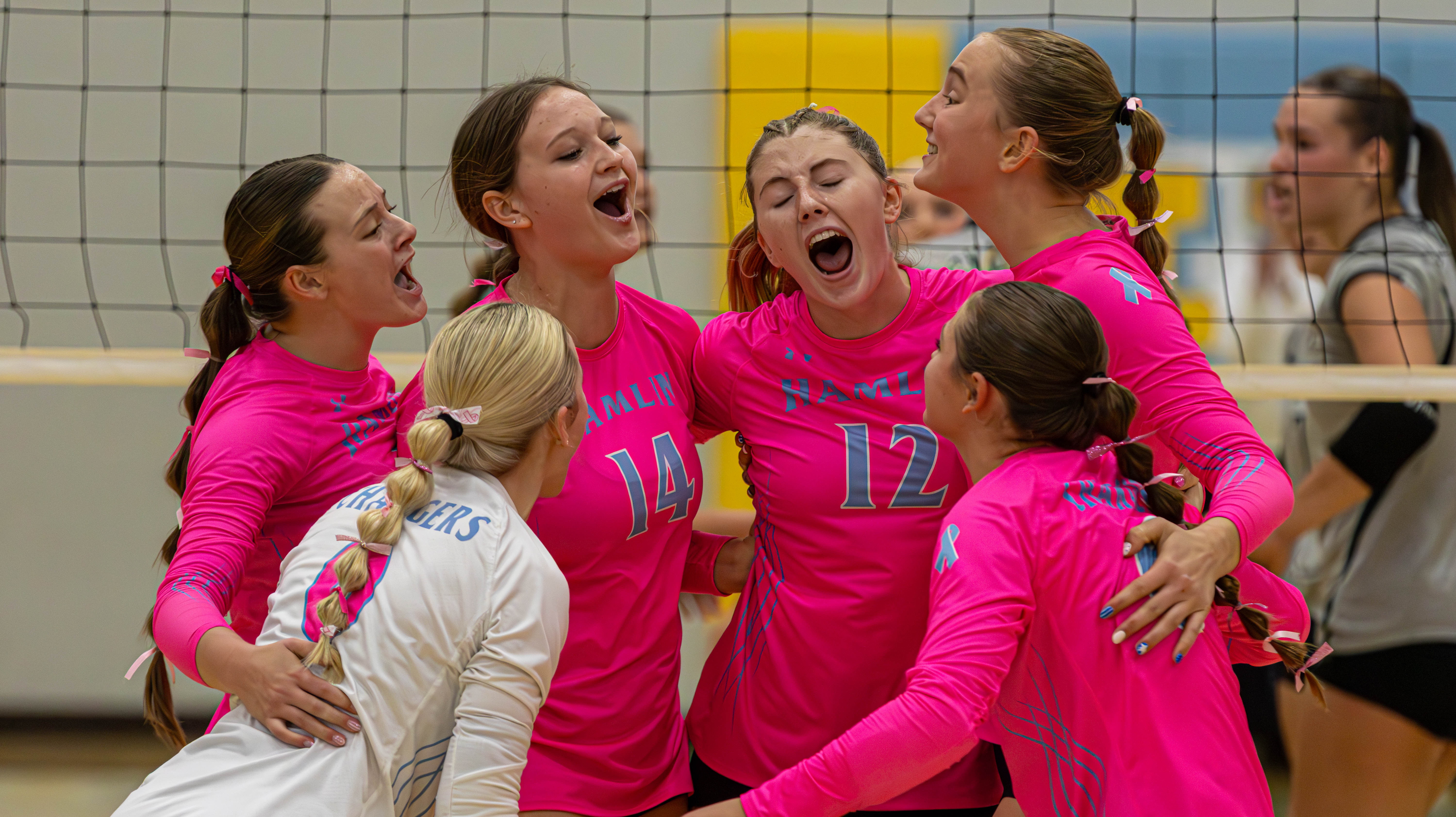 PHOTO GALLERY: HS Volleyball - Clark/Willow Lake at Hamlin