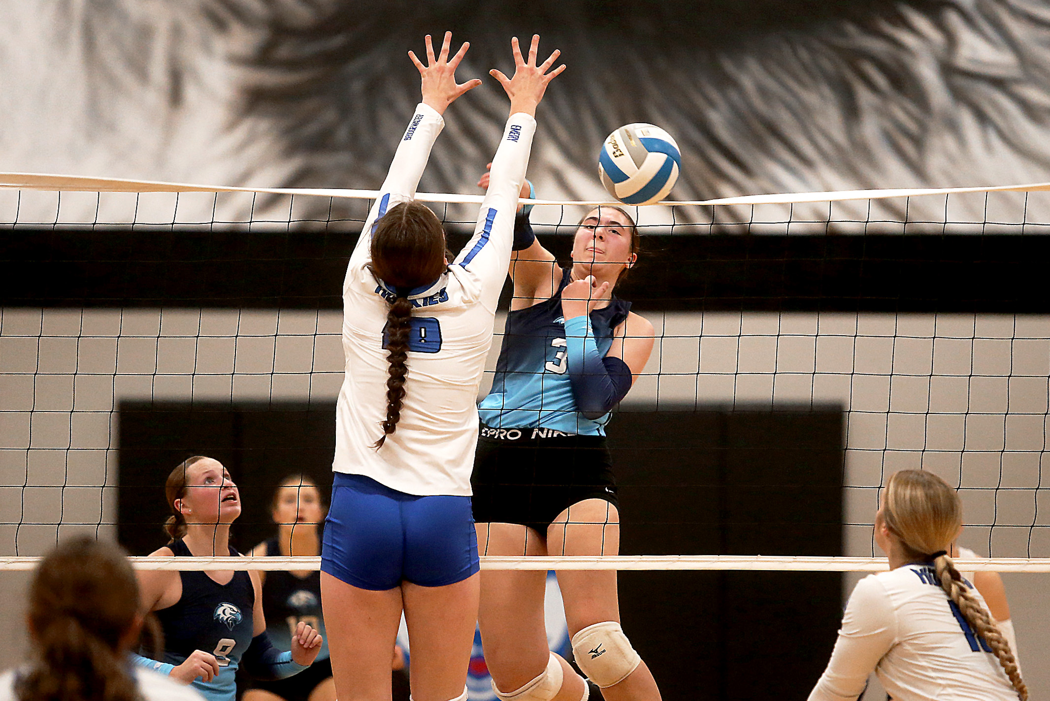 PHOTO GALLERY: HS Volleyball Region 3B Playoffs - SF Lutheran vs Bridgewater-Emery 