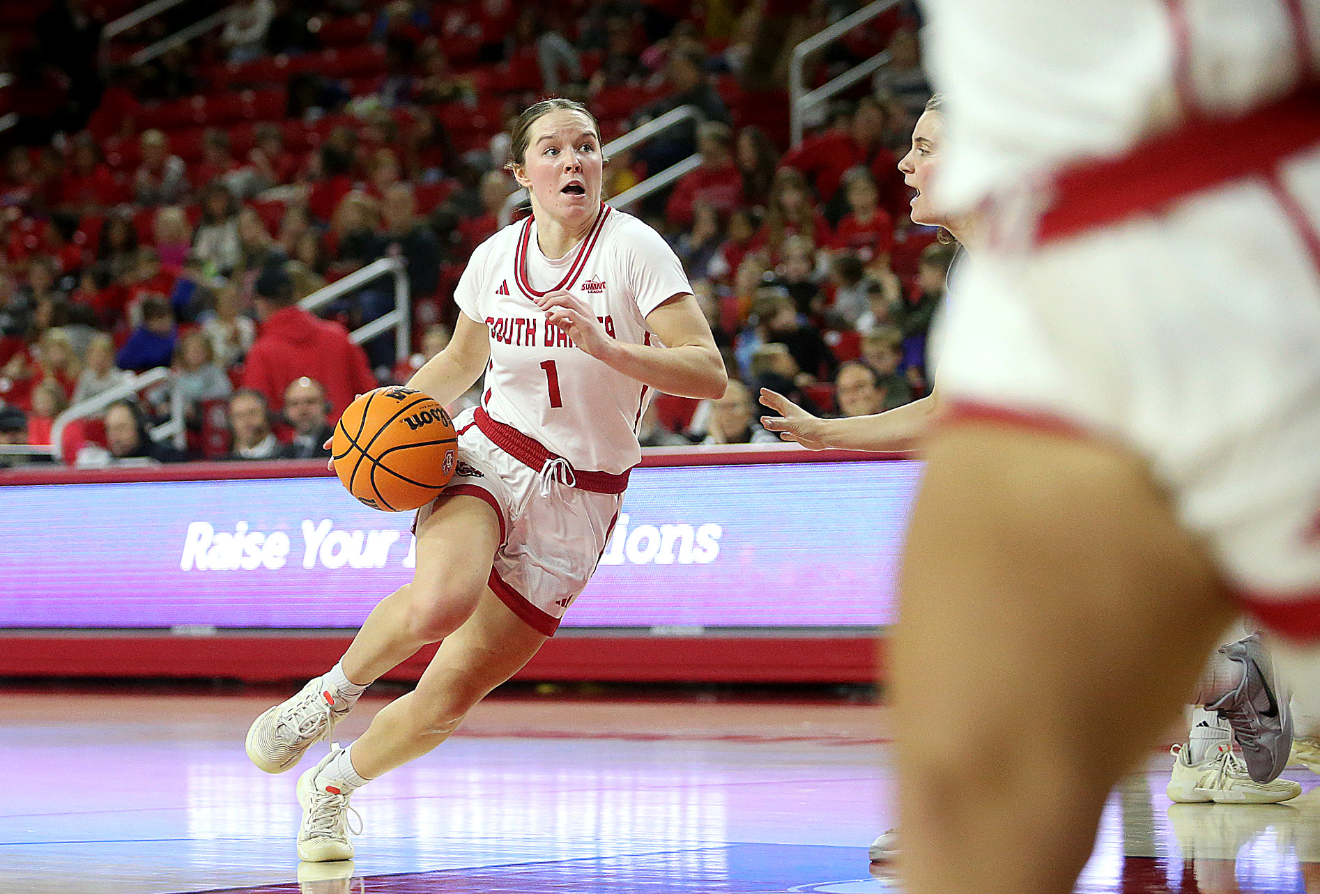 PHOTO GALLERY: College Basketball - Air Force at USD  