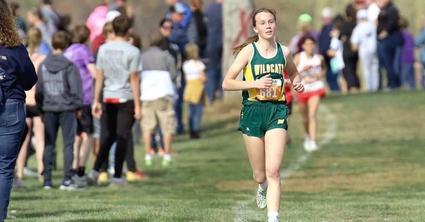 Ella Boekelheide, Nathan Melius win Region 1B cross-country titles