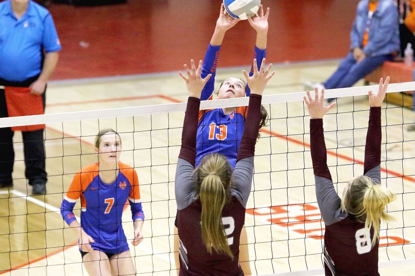 Nov. 8 Volleyball Scores