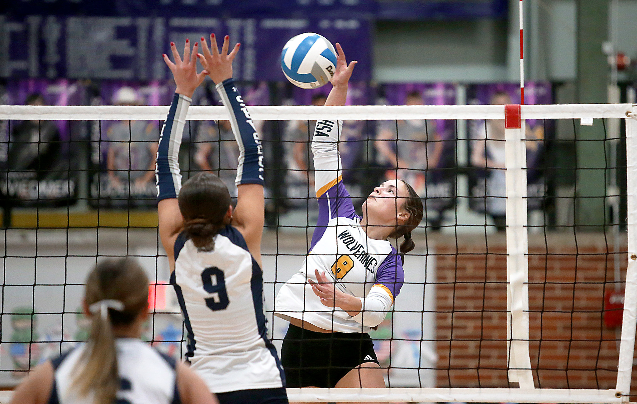 PHOTO GALLERY: HS Volleyball - SoDak16 - Herreid/Selby Area vs Burke 