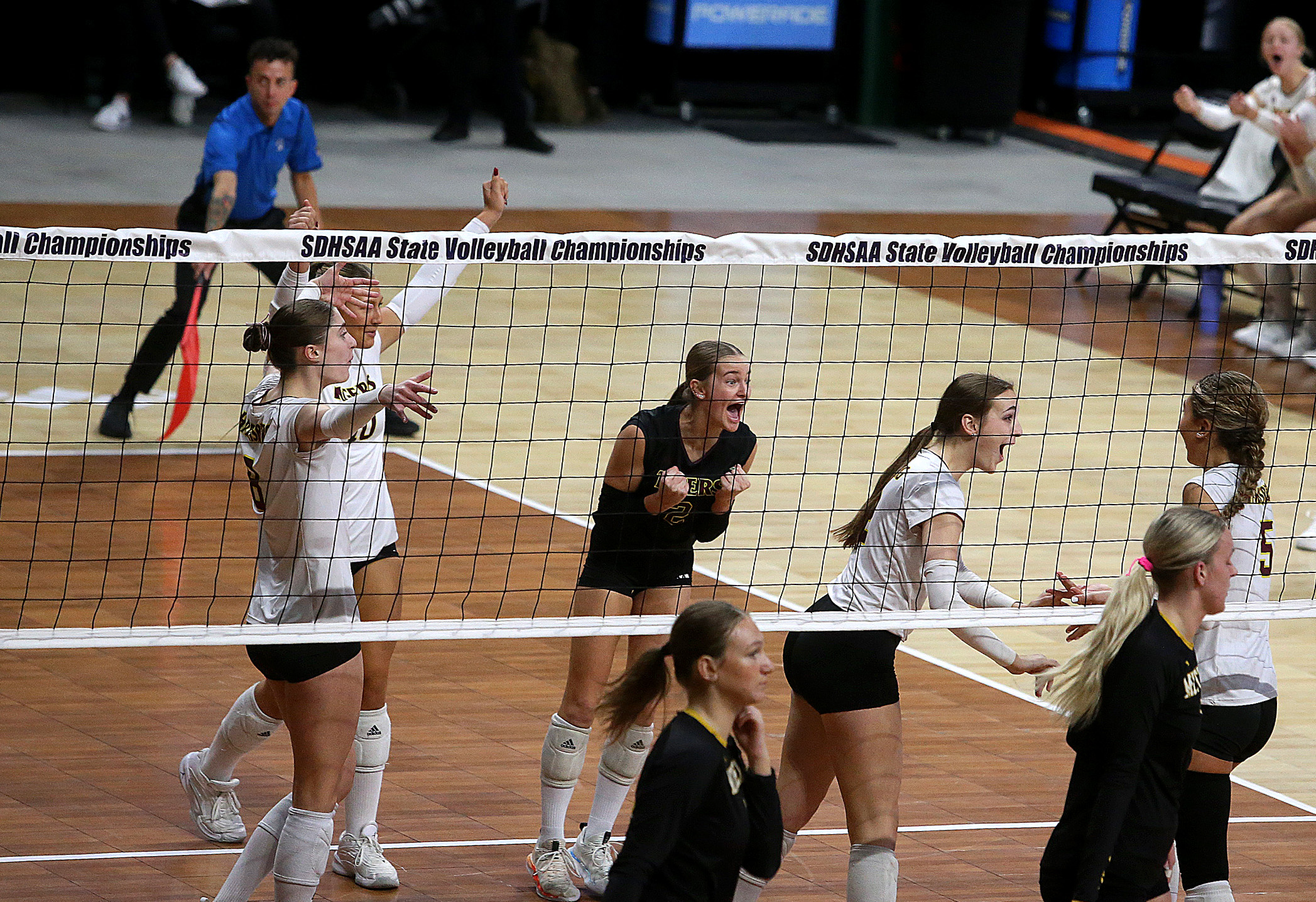 PHOTO GALLERY: State Volleyball - AA - Mitchell vs Harrisburg 