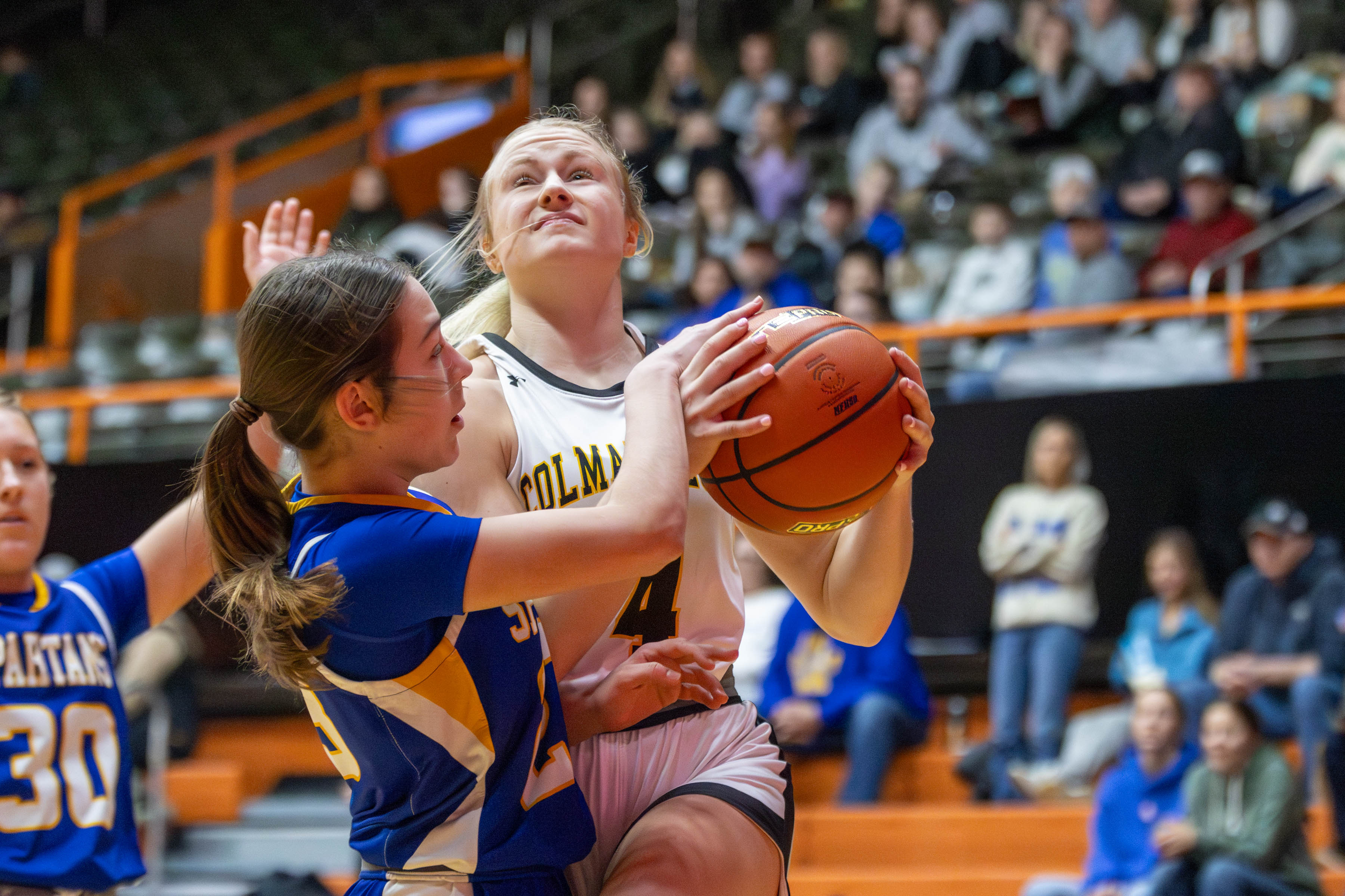PHOTO GALLERY: Colman-Egan Hawks vs Wessington Springs Spartans girls basketball at Huron Holiday Classic