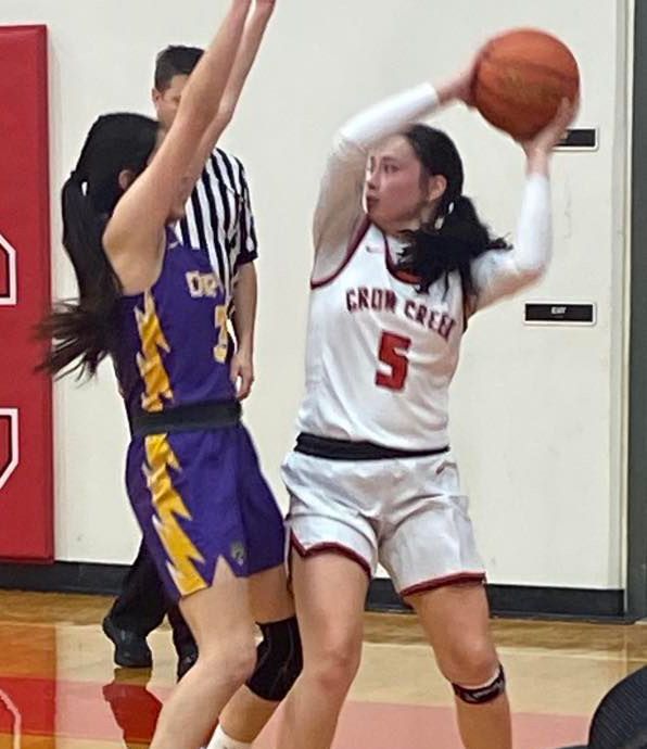 LeBeau sisters looking to punch state tournament ticket with different teams