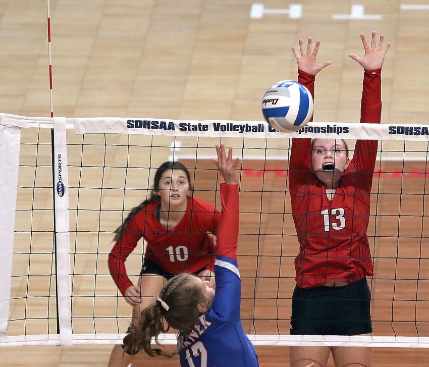 2023 State Volleyball All-Tourney Teams 