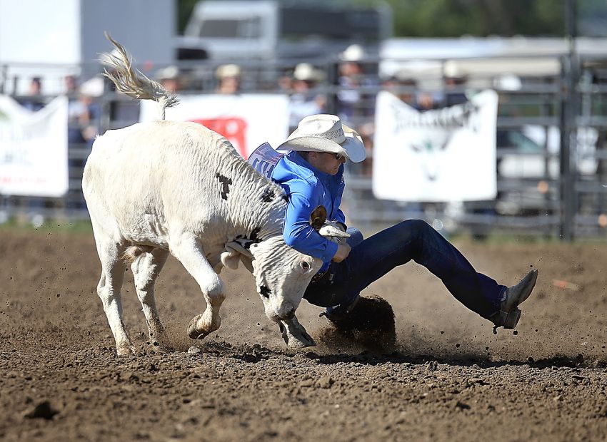 Scotland steer wrestler Kade Odens leads Team South Dakota on Day 1 of NHSFR