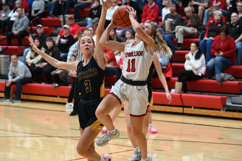 Jan. 2 Girls Basketball Roundup - No. 3 Tea Area clips No. 5 Vermilion in Tuesday action 
