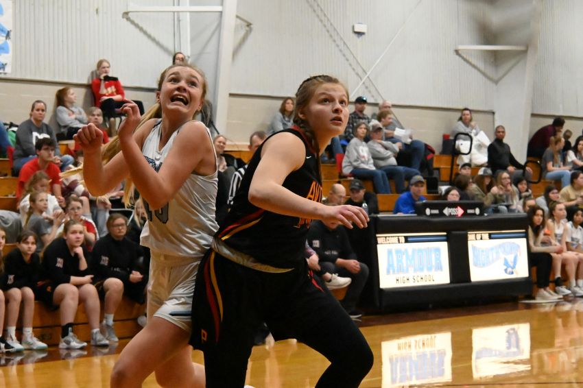 Feb. 9 Girls Basketball Roundup - Avon holds off Tripp-Delmont/Armour for two-point win 