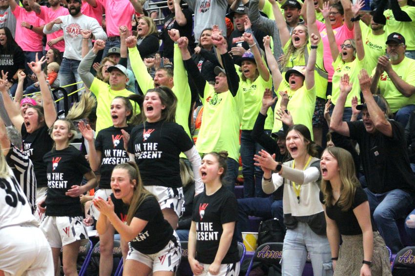 Cougars pull another upset on way to state title berth 