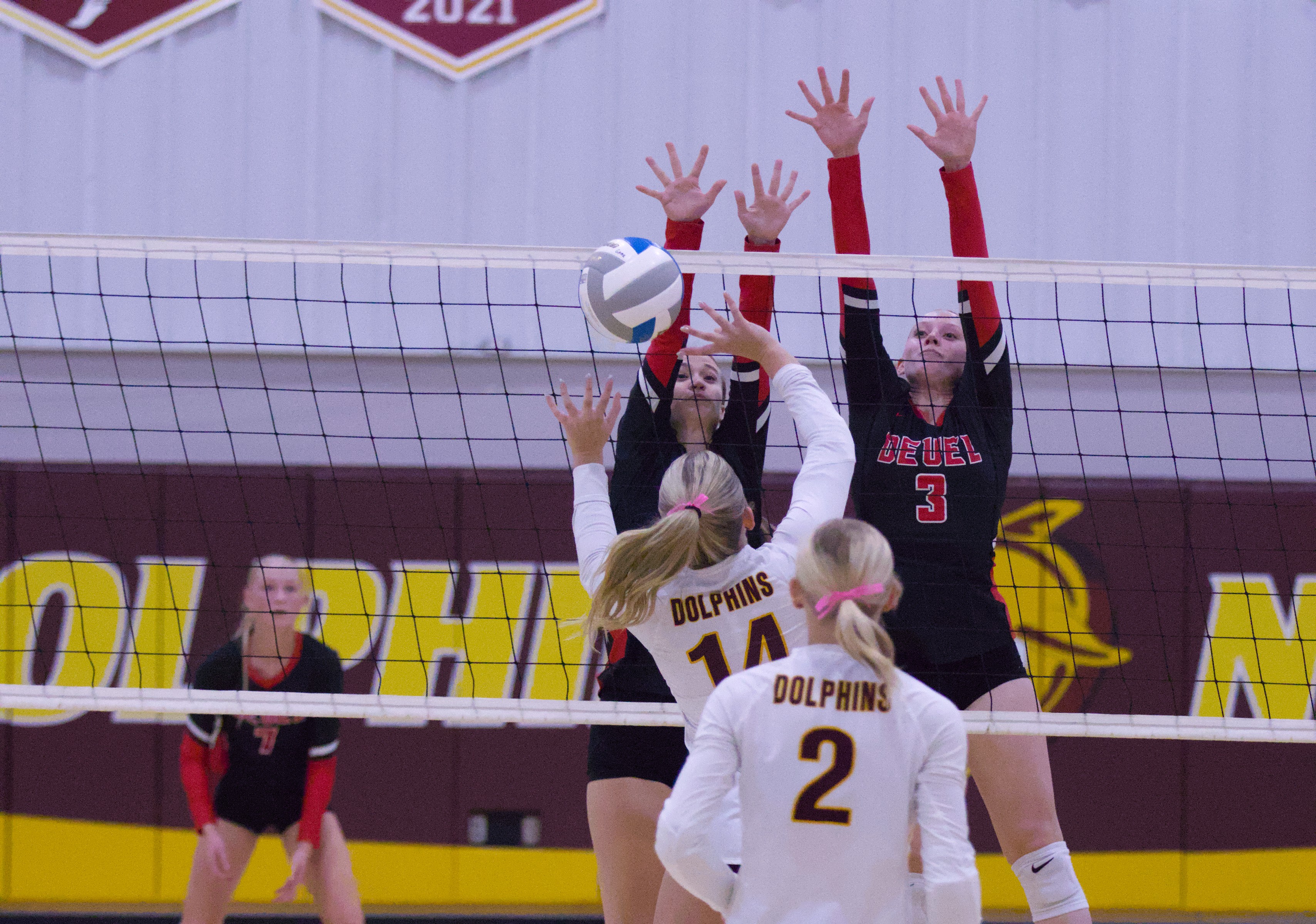 PHOTO GALLERY: HS Volleyball - Deuel at Deubrook Area